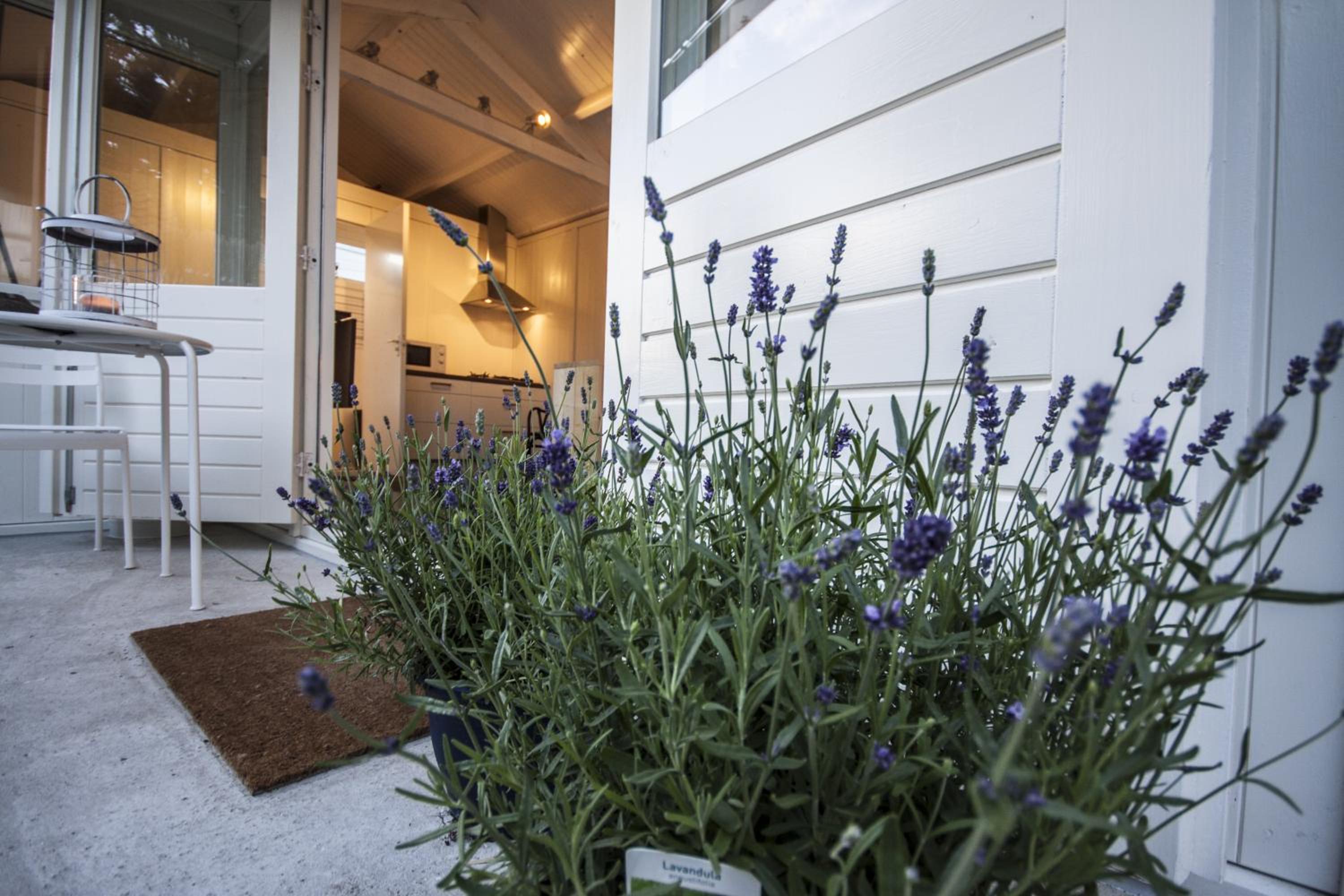 Tiny House Madame Jeanette nabij centrum en zee view 3