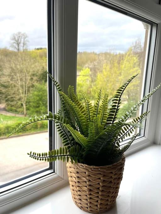 Olive Holiday Cottage Matlock