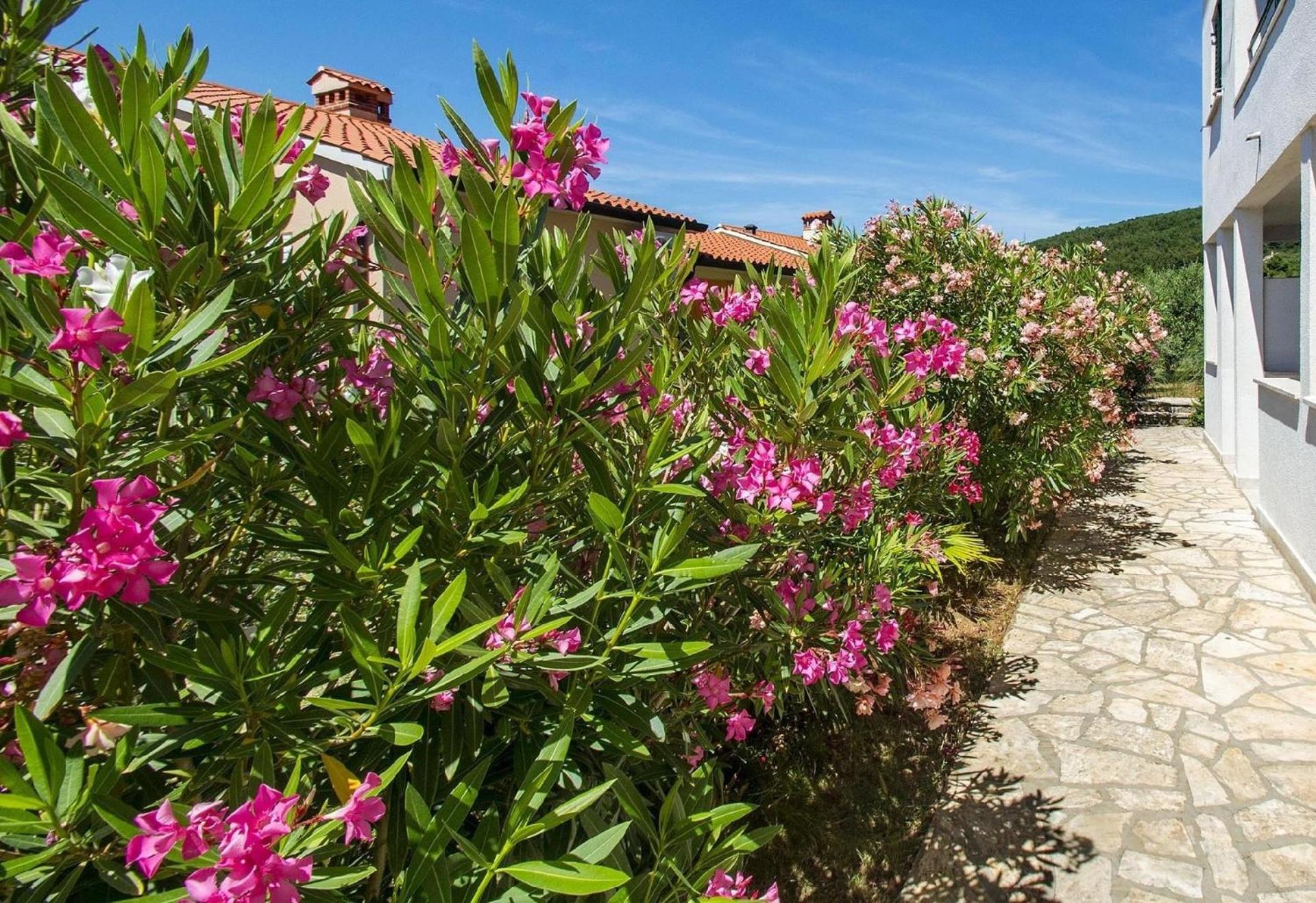 Ferienwohnung für 5 Personen ca 45 qm in Rabac, Istrien Bucht von Rabac view 5