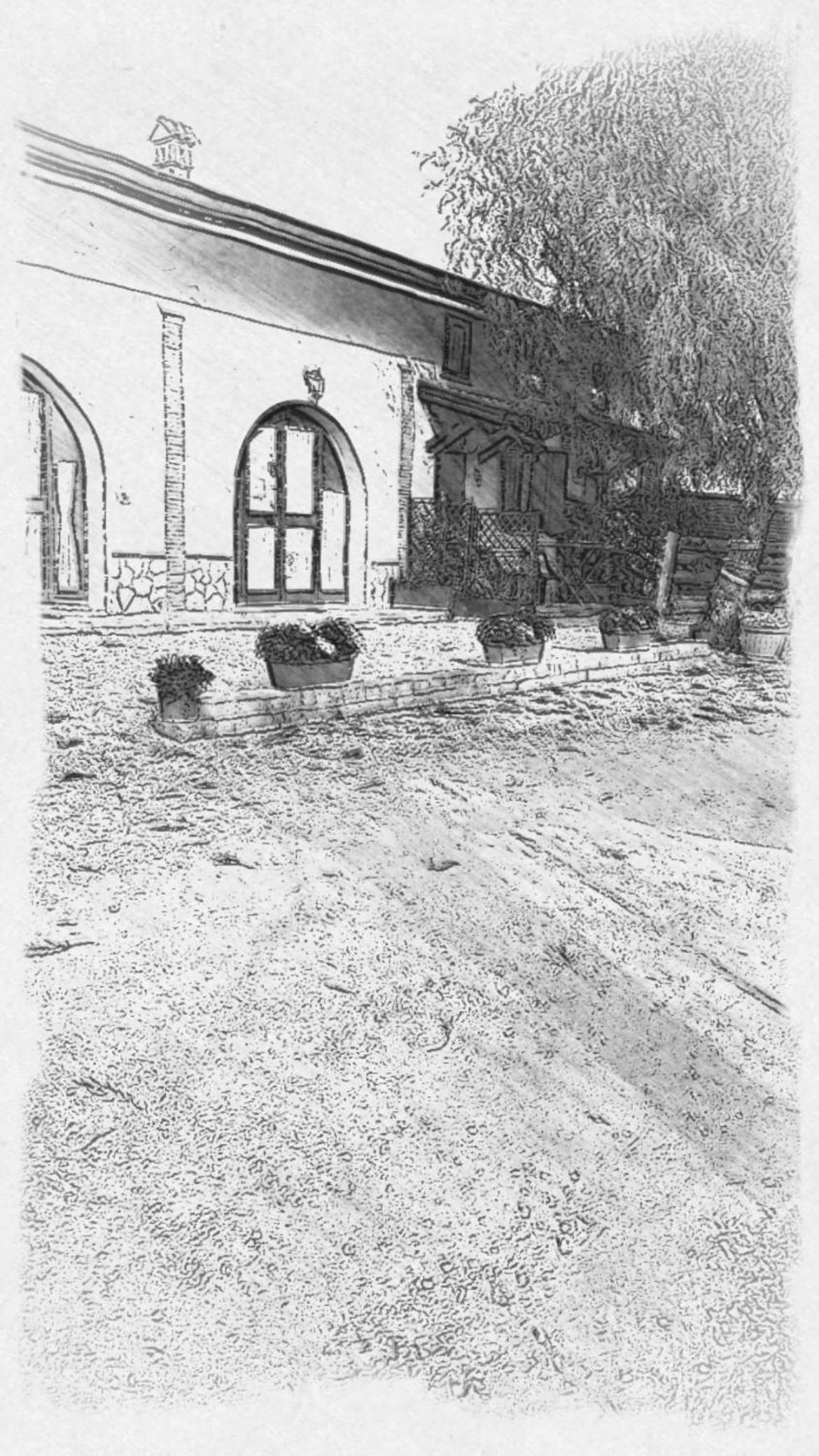 Photo 56