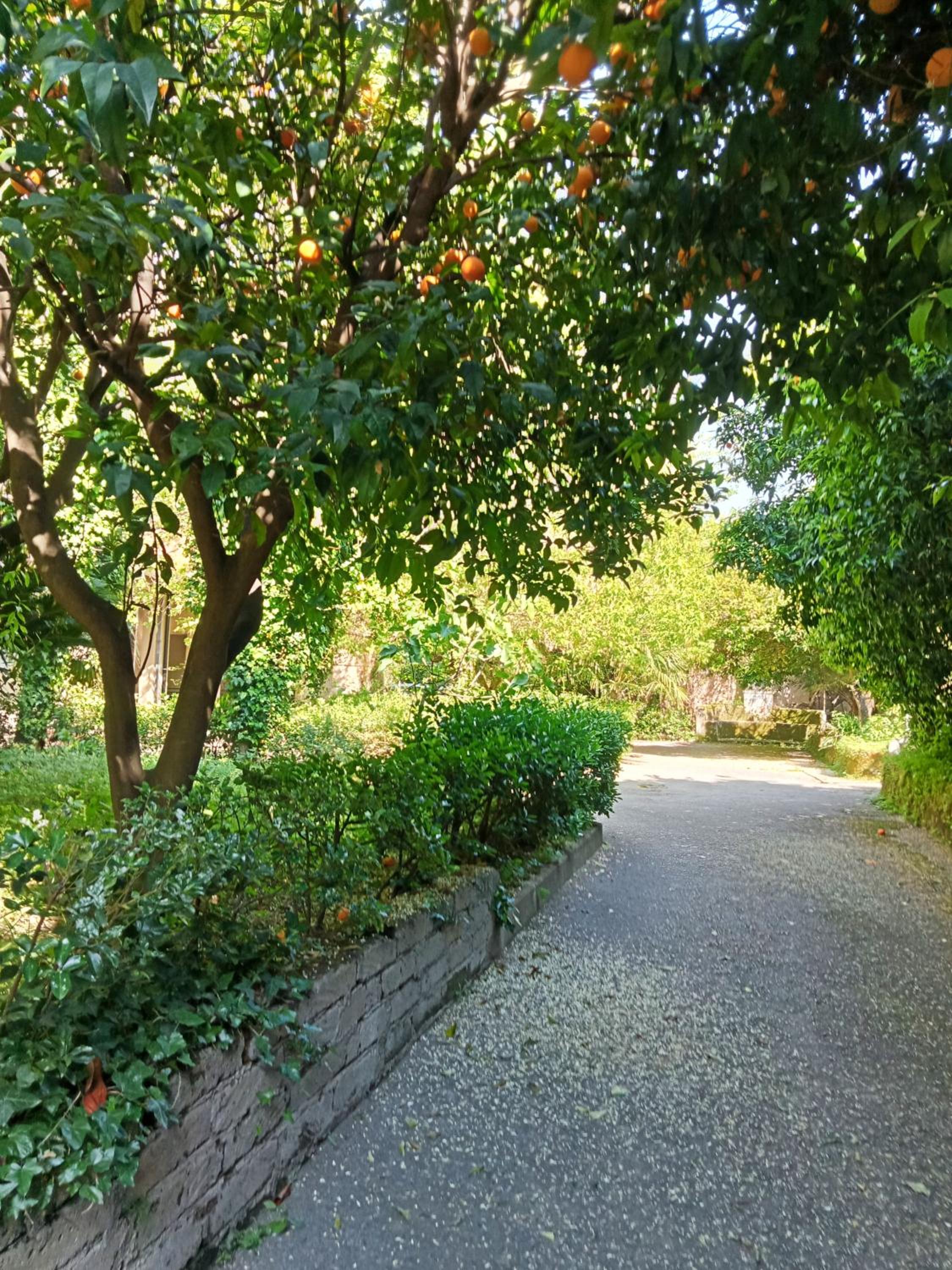 A Casa di Giuseppa Natura bio view 2