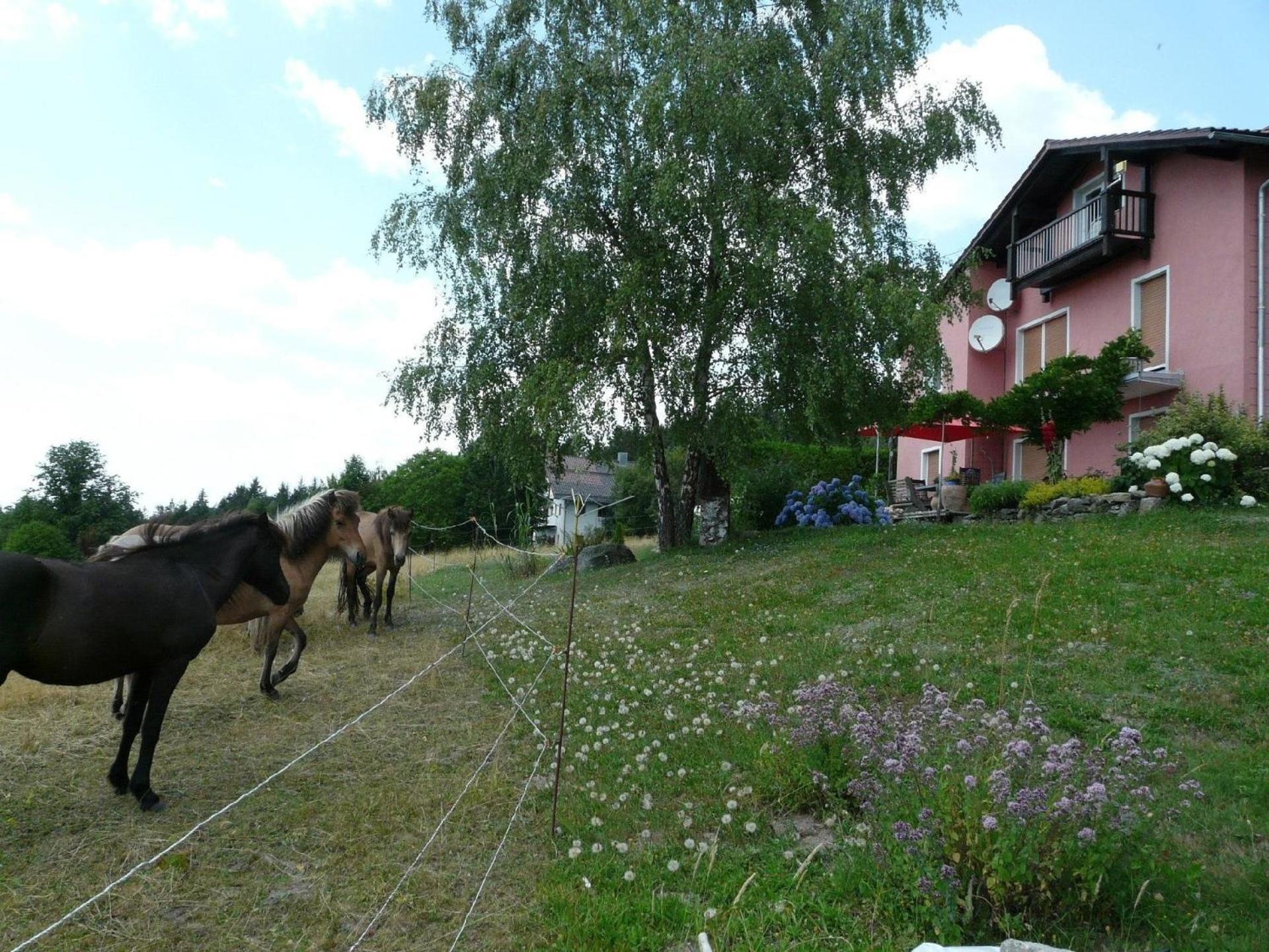 Ferienwohnung für 2 Personen ca 40 m in Neureichenau, Bayerischer Wald