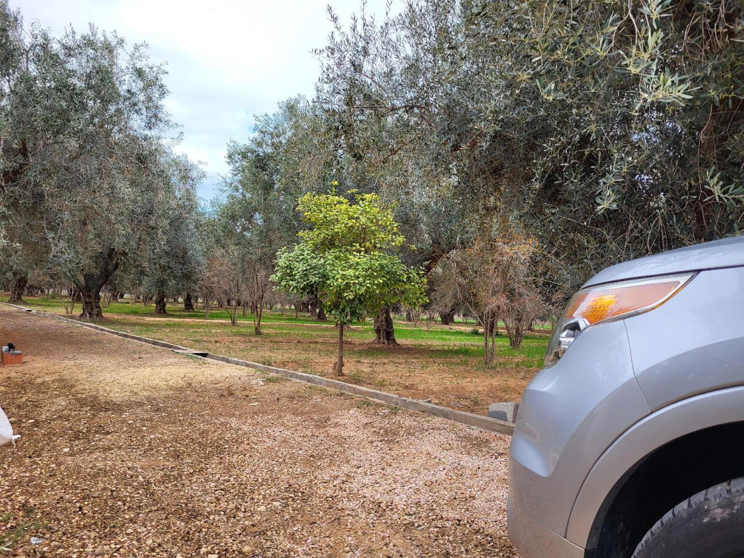 ZINA RESORT camping touristique