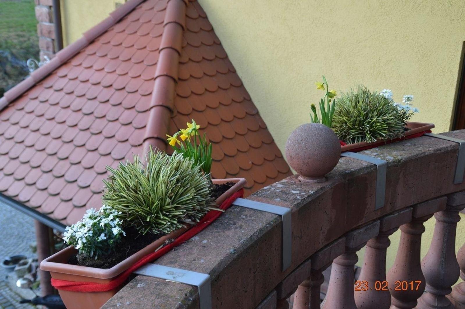 Ferienwohnung Burgblick in Lauf