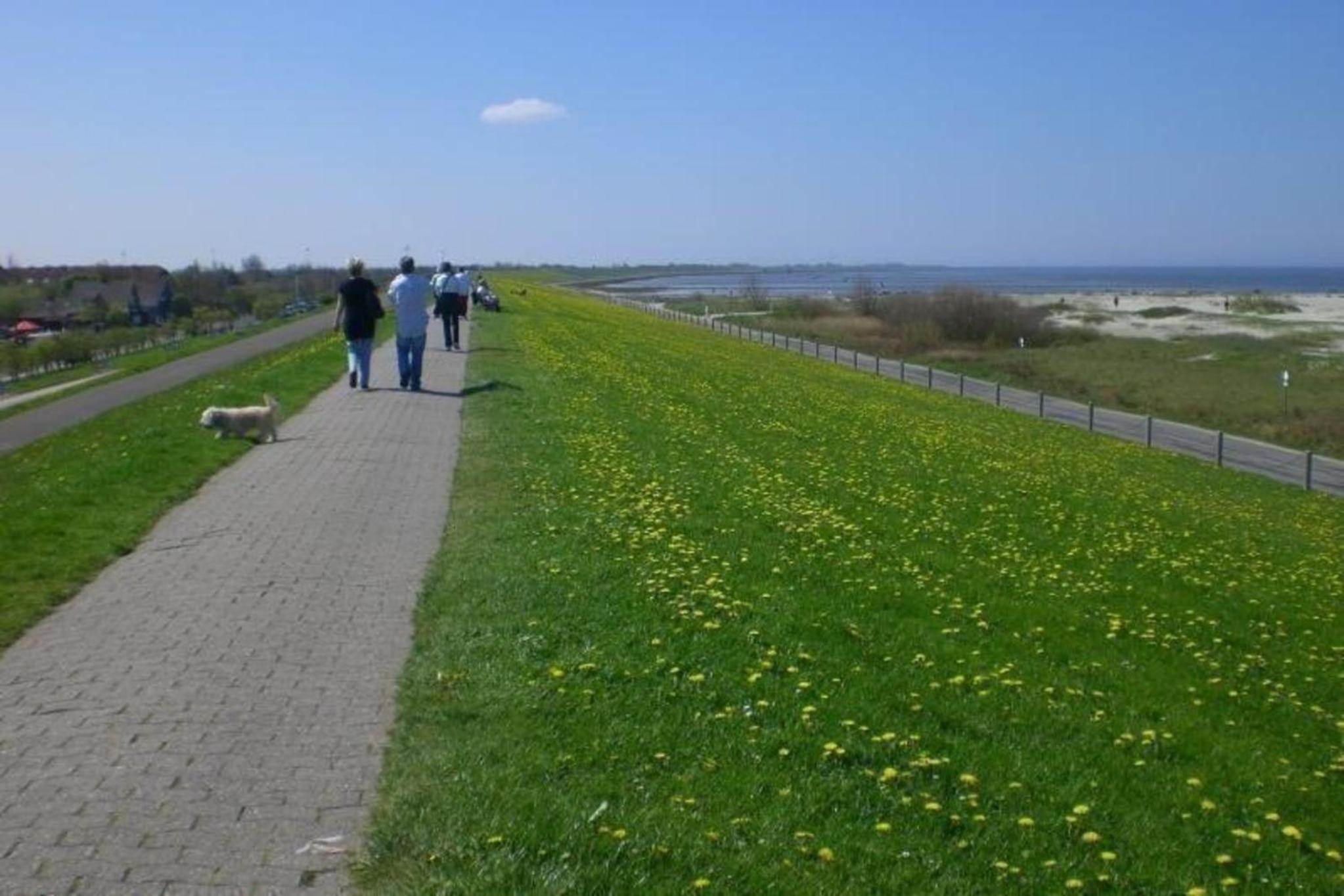 Ferienwohnung für 4 Personen ca 72 qm in Hage, Nordseeküste Deutschland Ostfriesland