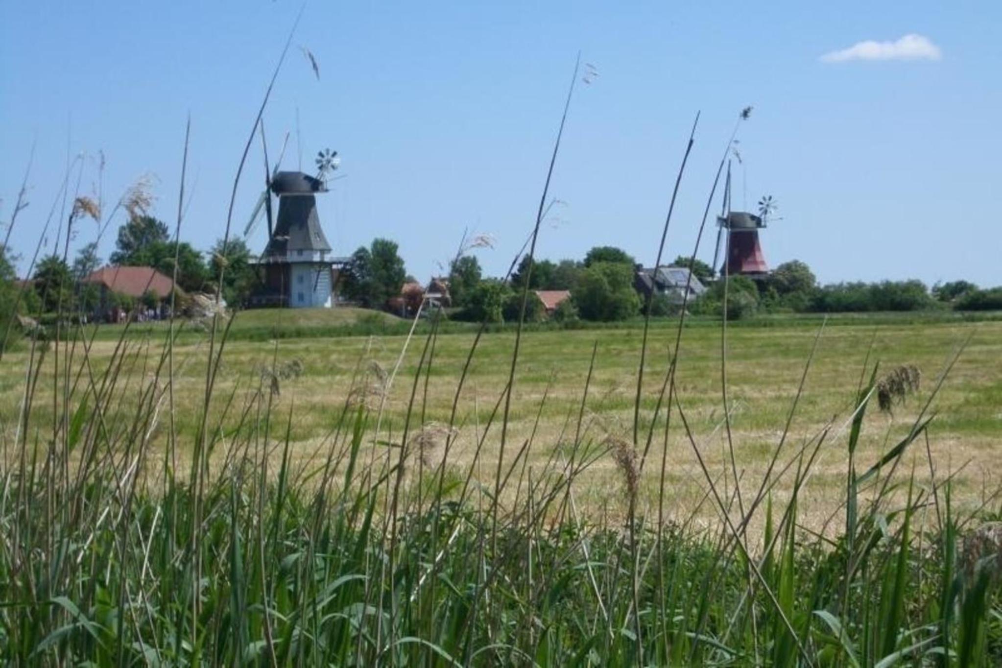 Ferienwohnung für 4 Personen ca 72 qm in Hage, Nordseeküste Deutschland Ostfriesland