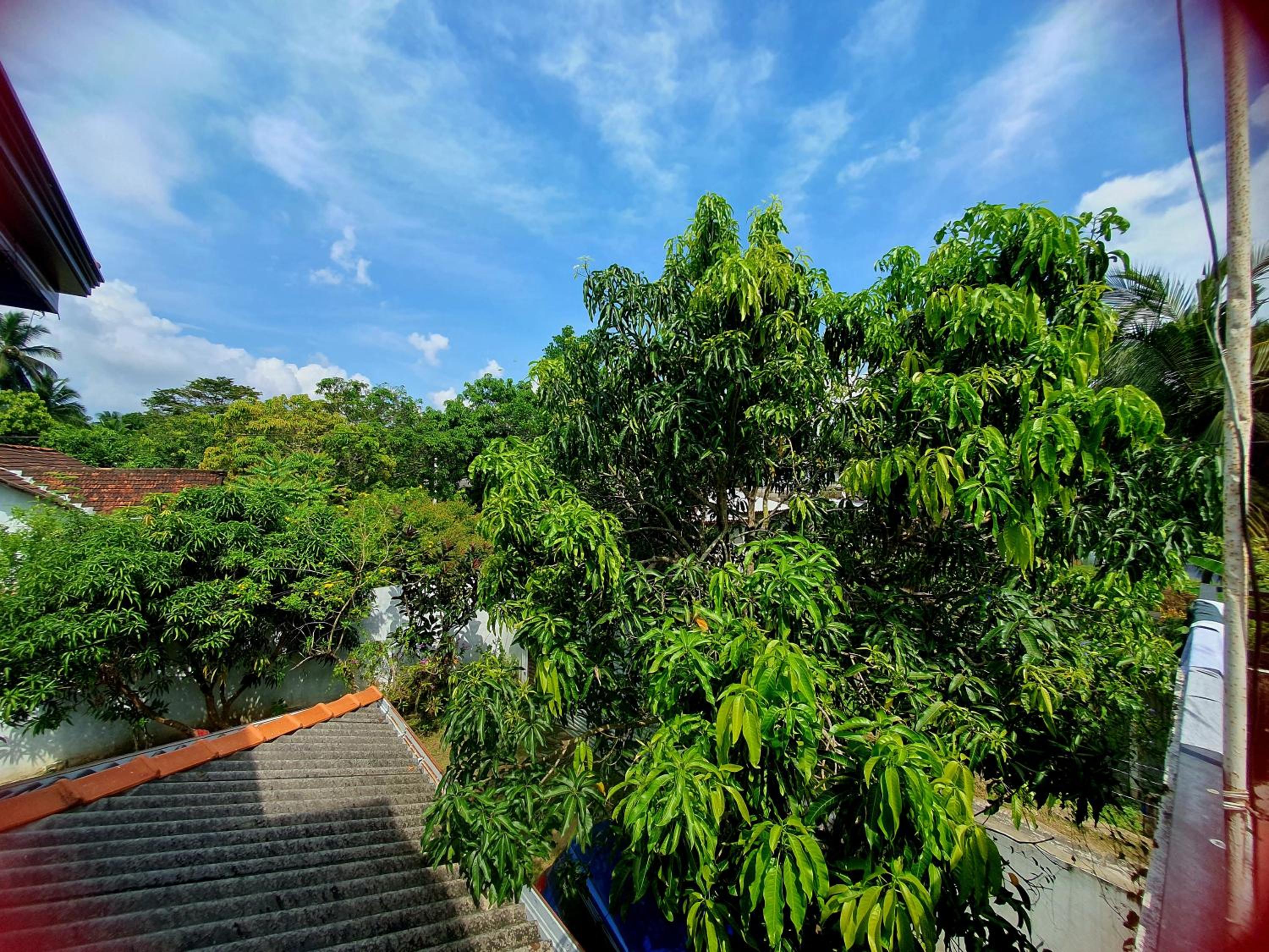 Sky homestay view 5