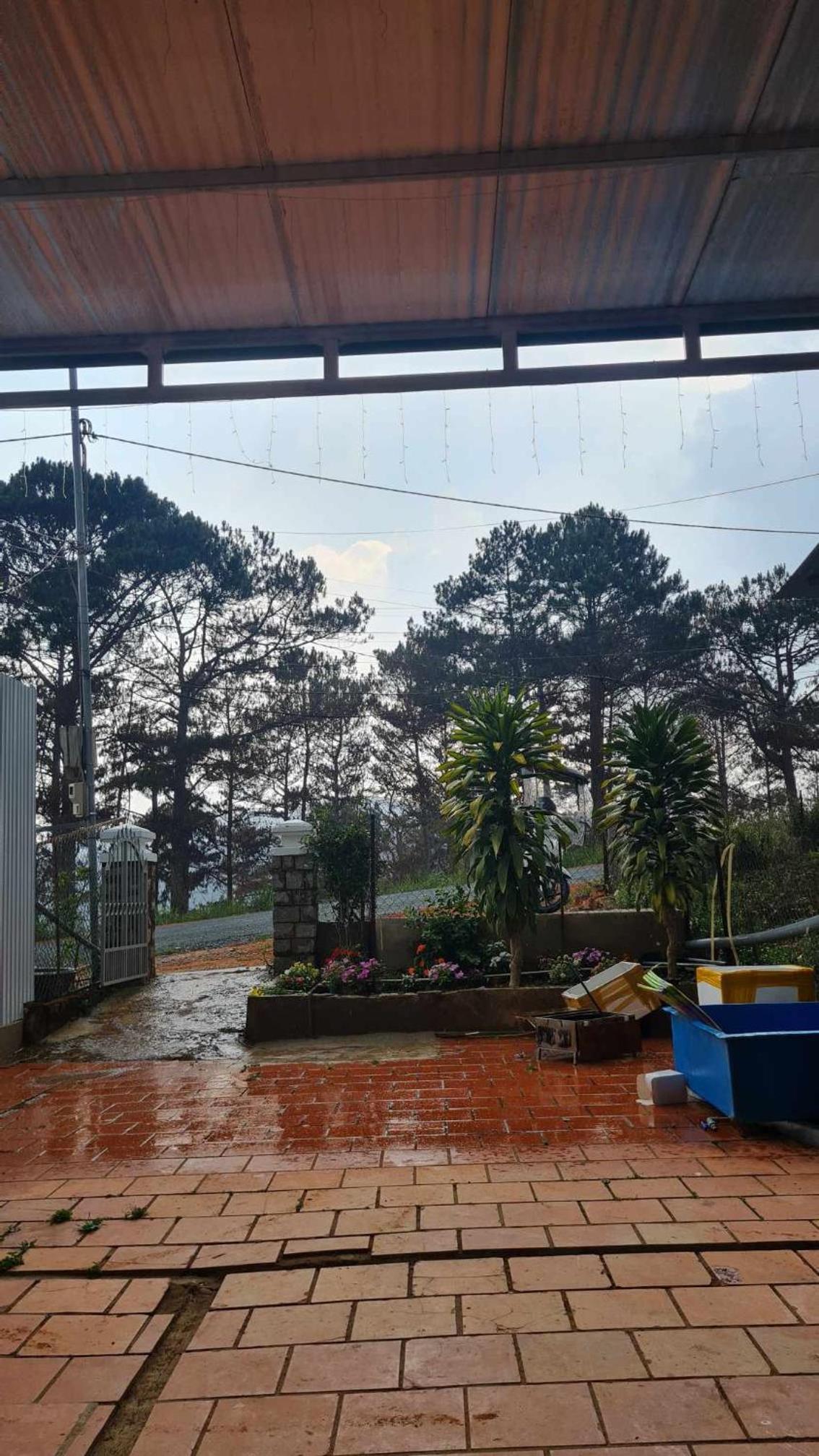 Home Người Đà Lạt