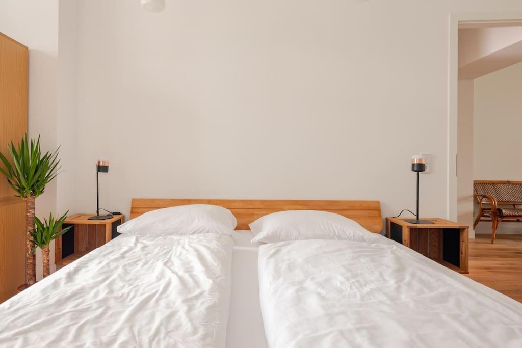 Tolles Apartment im Helmholz-Kiez Prenzlauer Berg