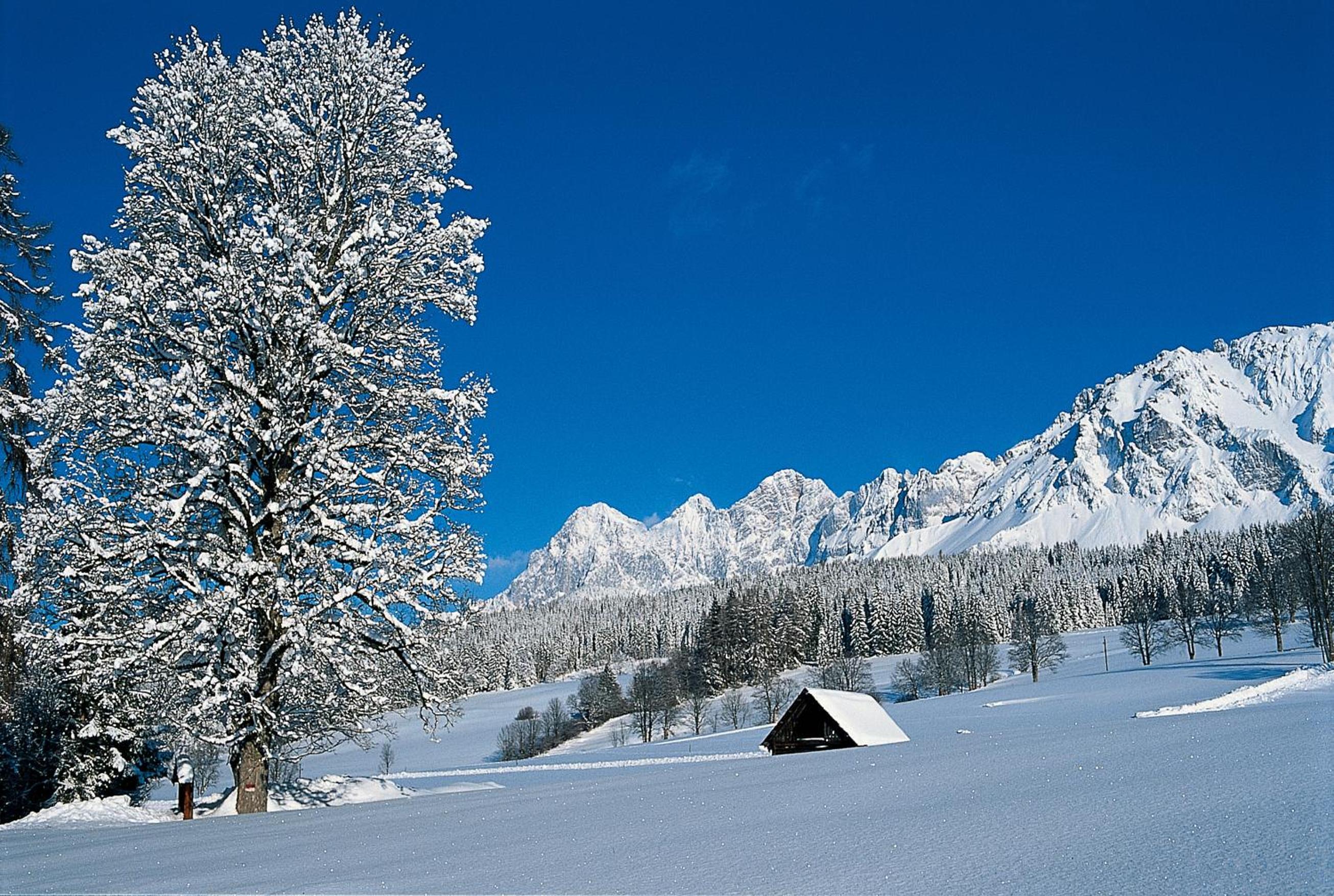 MEINE HEIMAT - Apartments in Ramsau am Dachstein - inklusive SOMMERCARD