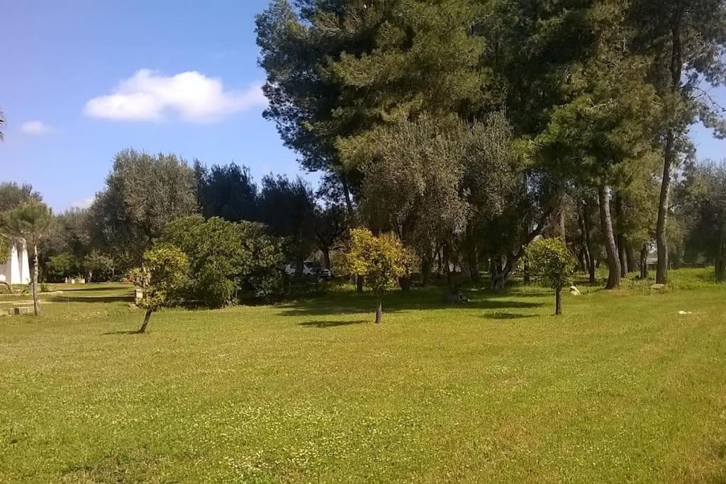 Villa Chorion view 2