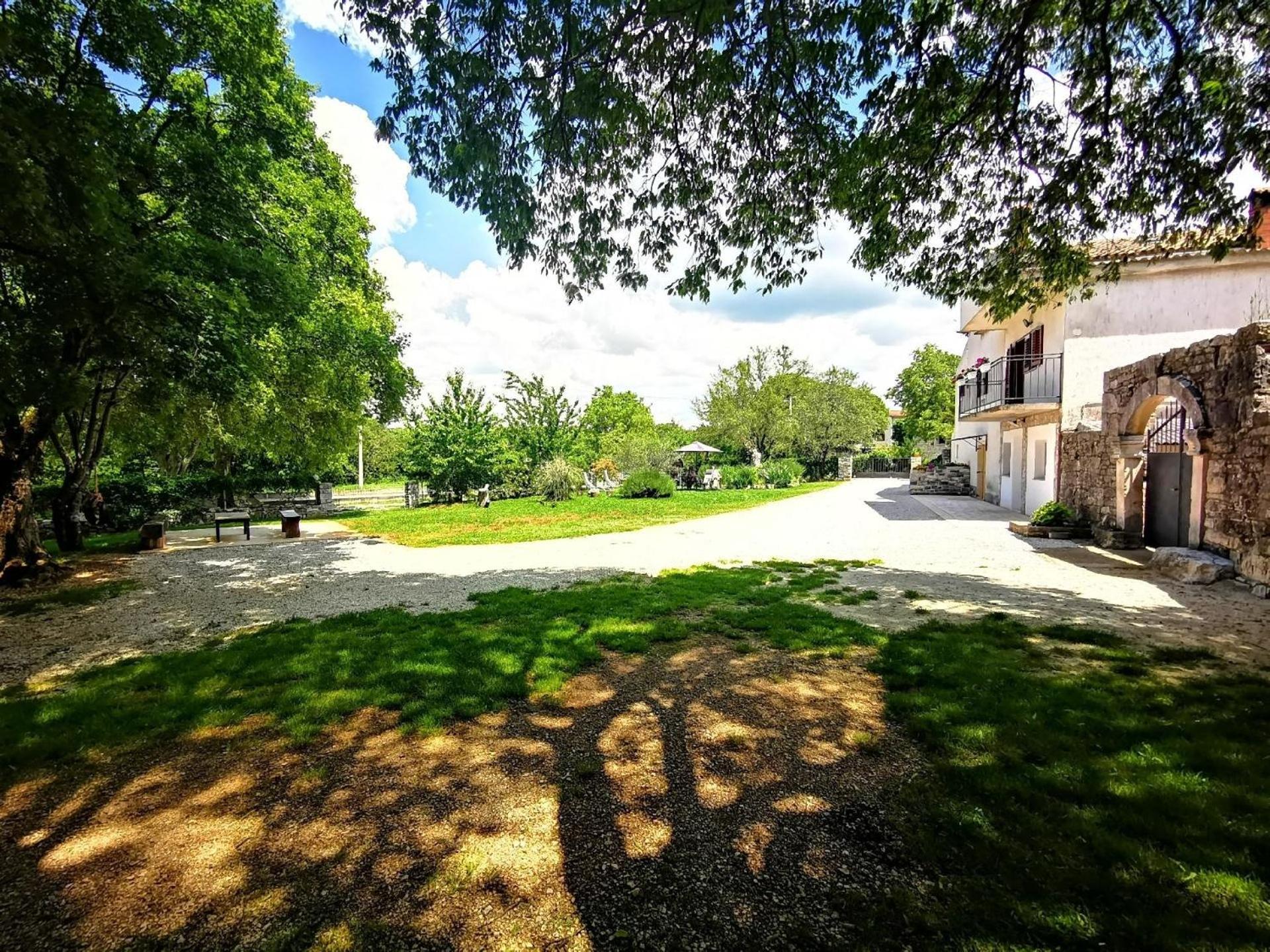 Photo 9