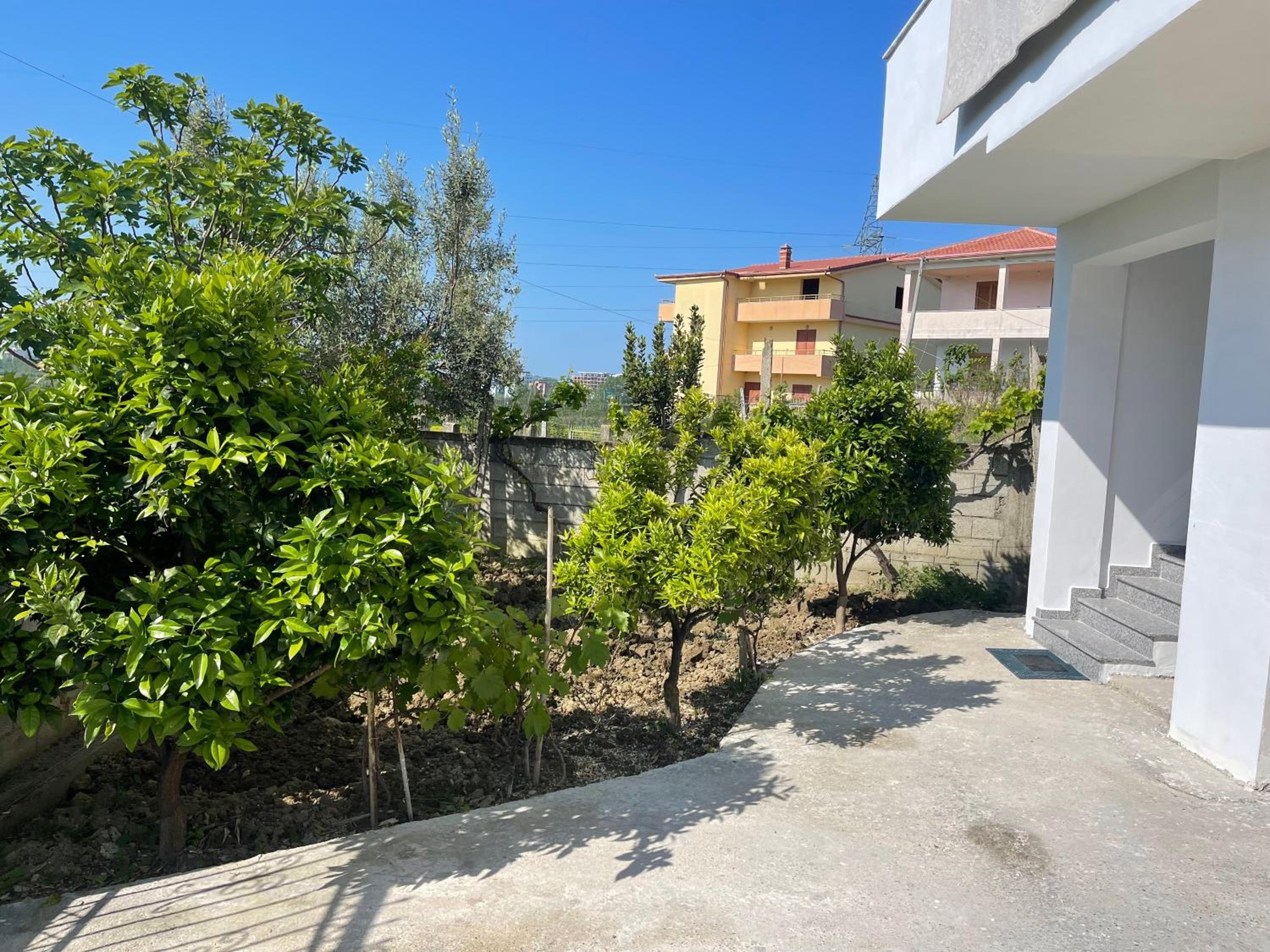 Blendi Guest House