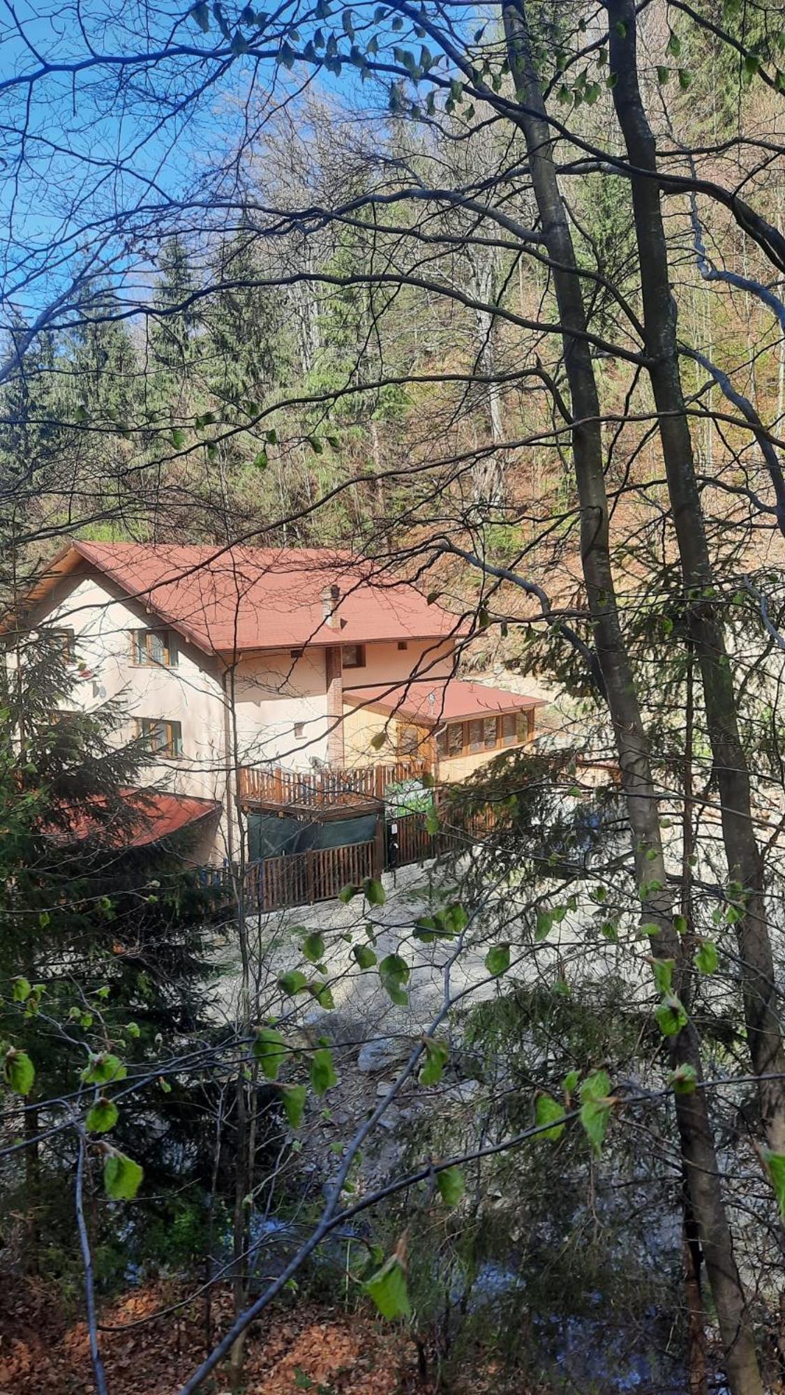 Izvorul Maleii view 2