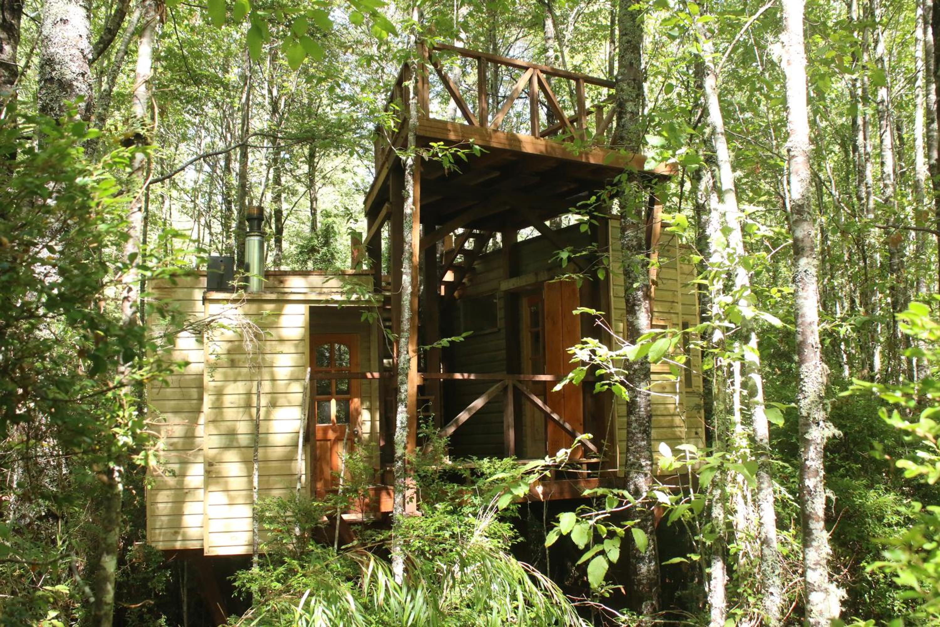 Casita Arbol