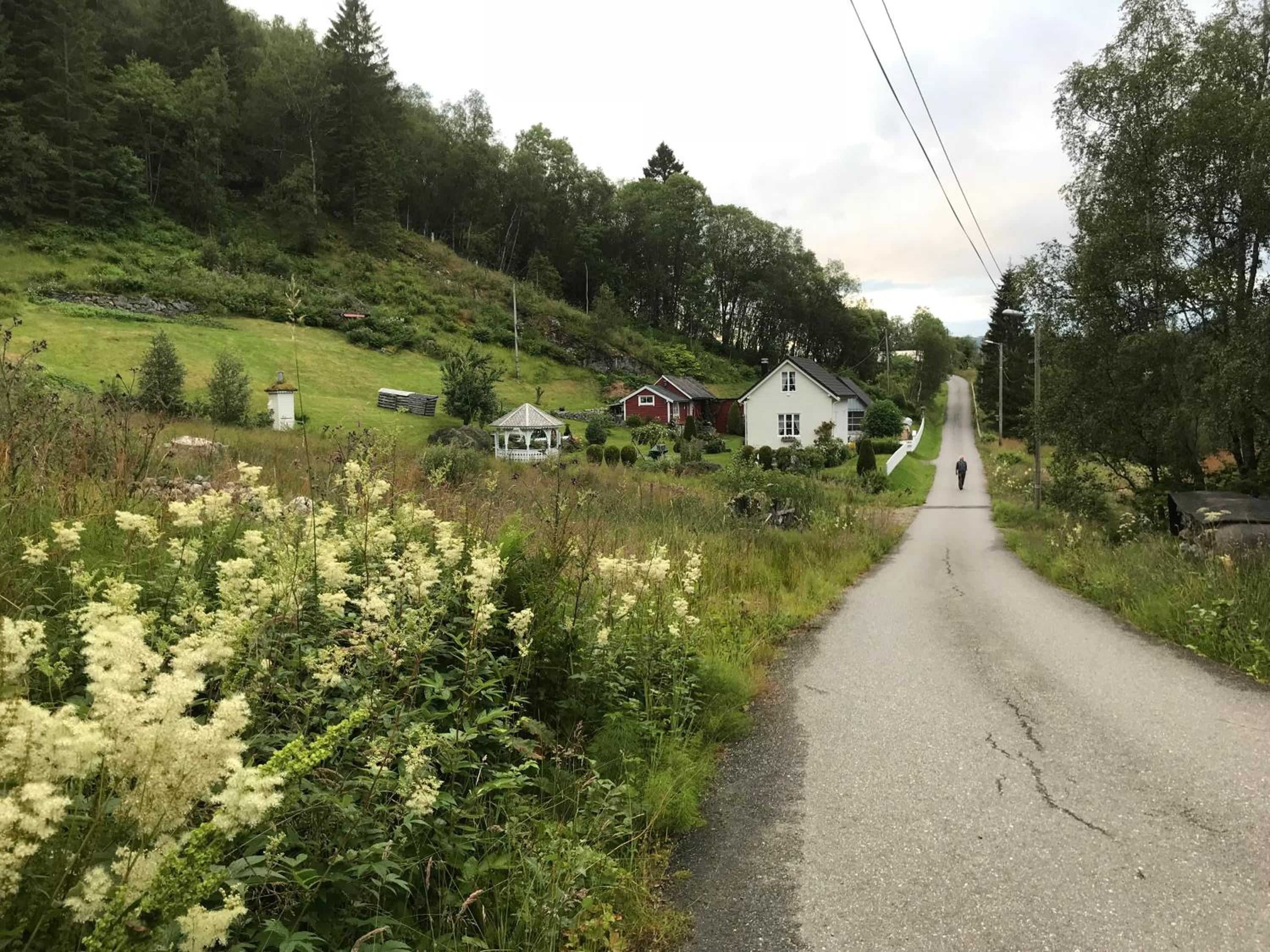 Koselig feriehus, Birkedaltunet