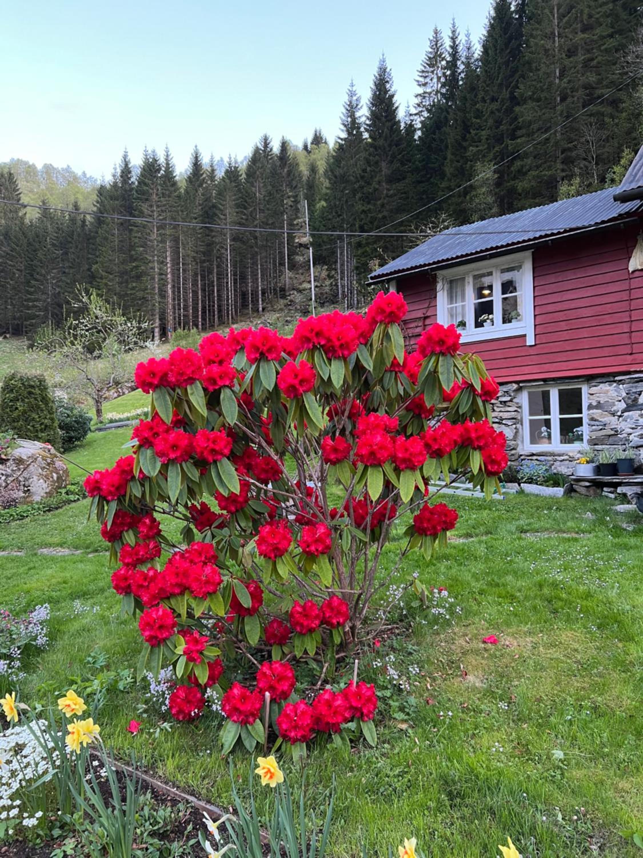 Koselig feriehus, Birkedaltunet