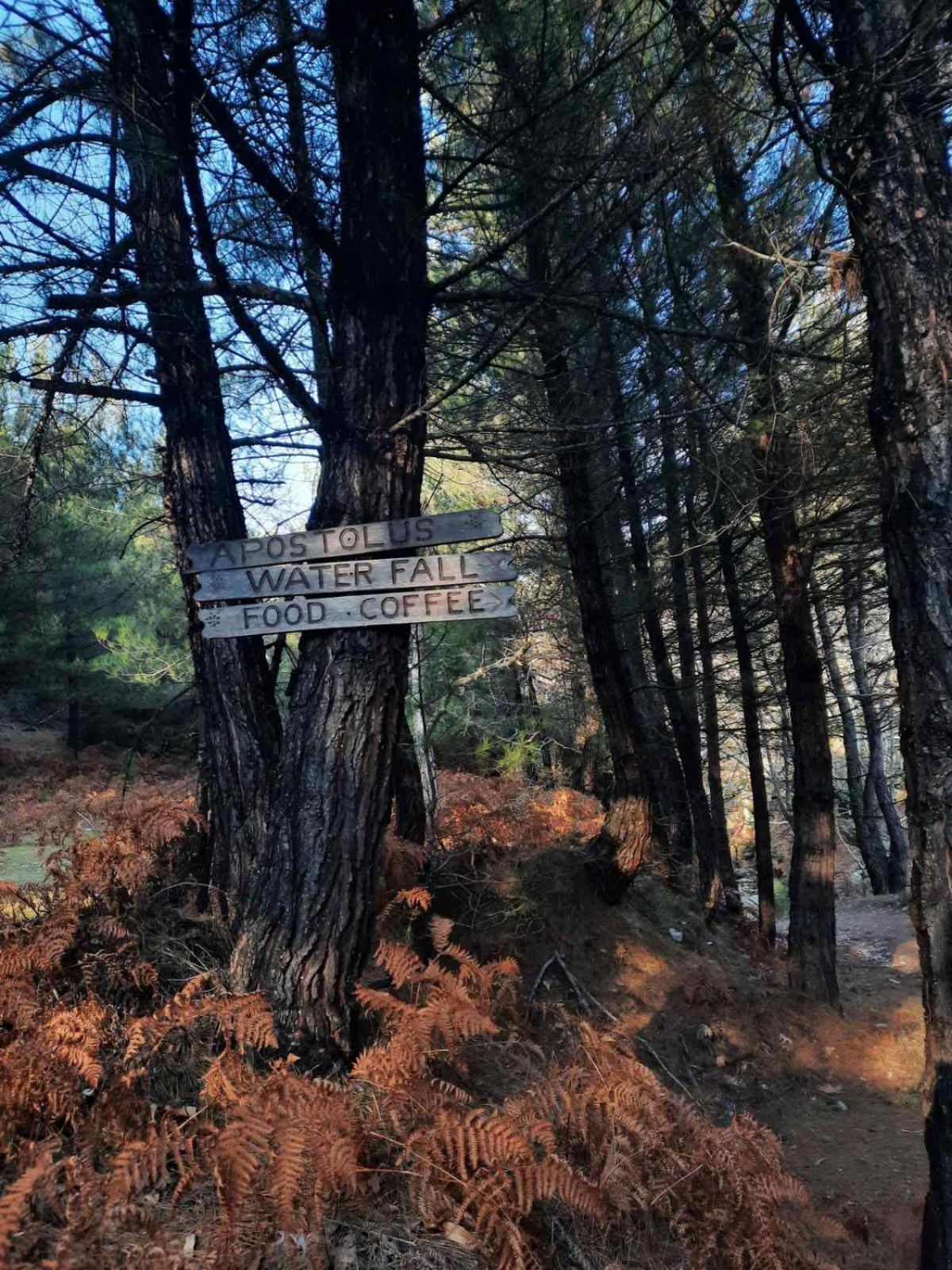 Photo 55