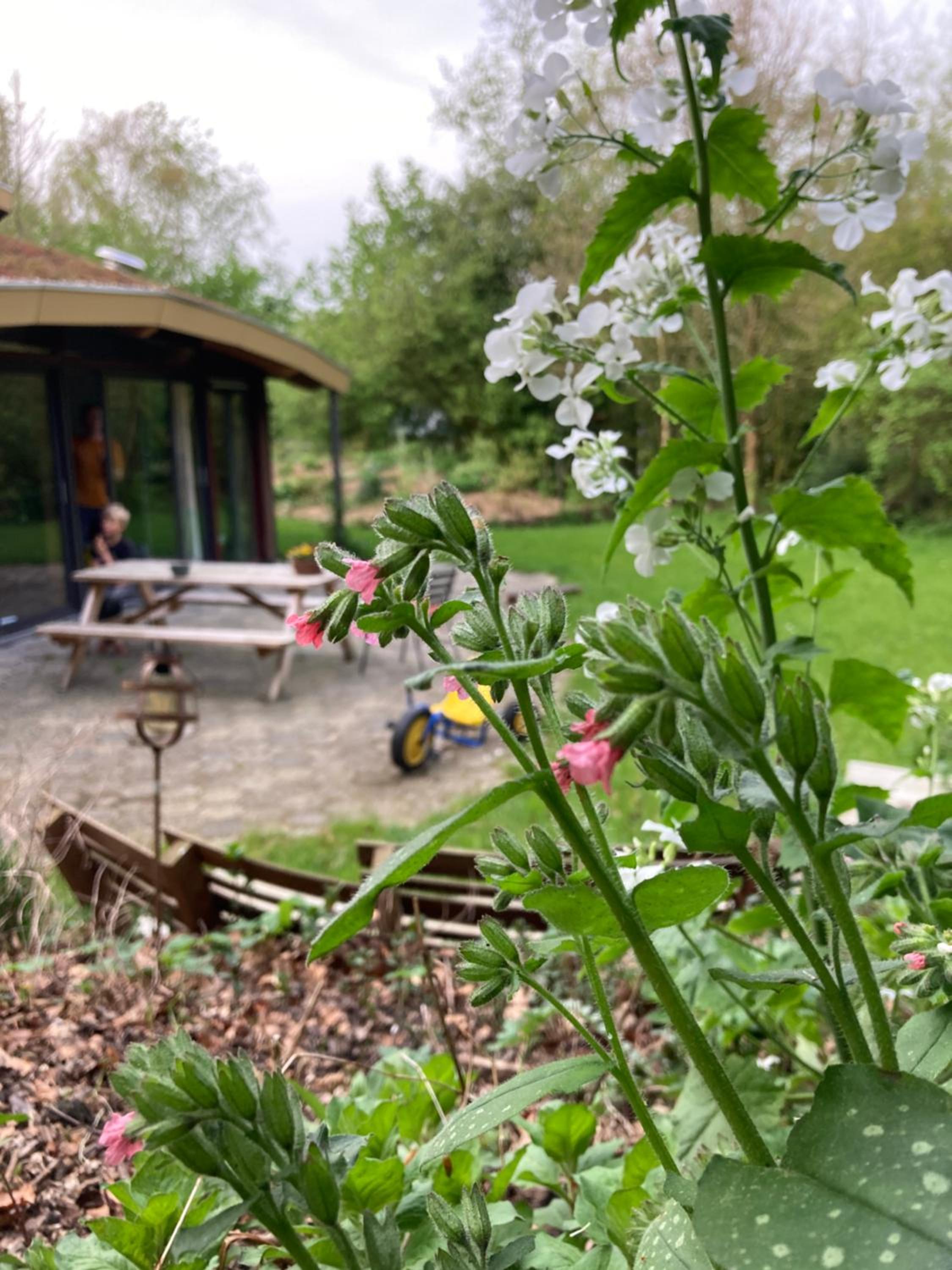 Eco Villa Beleef, met vaste wisseldagen