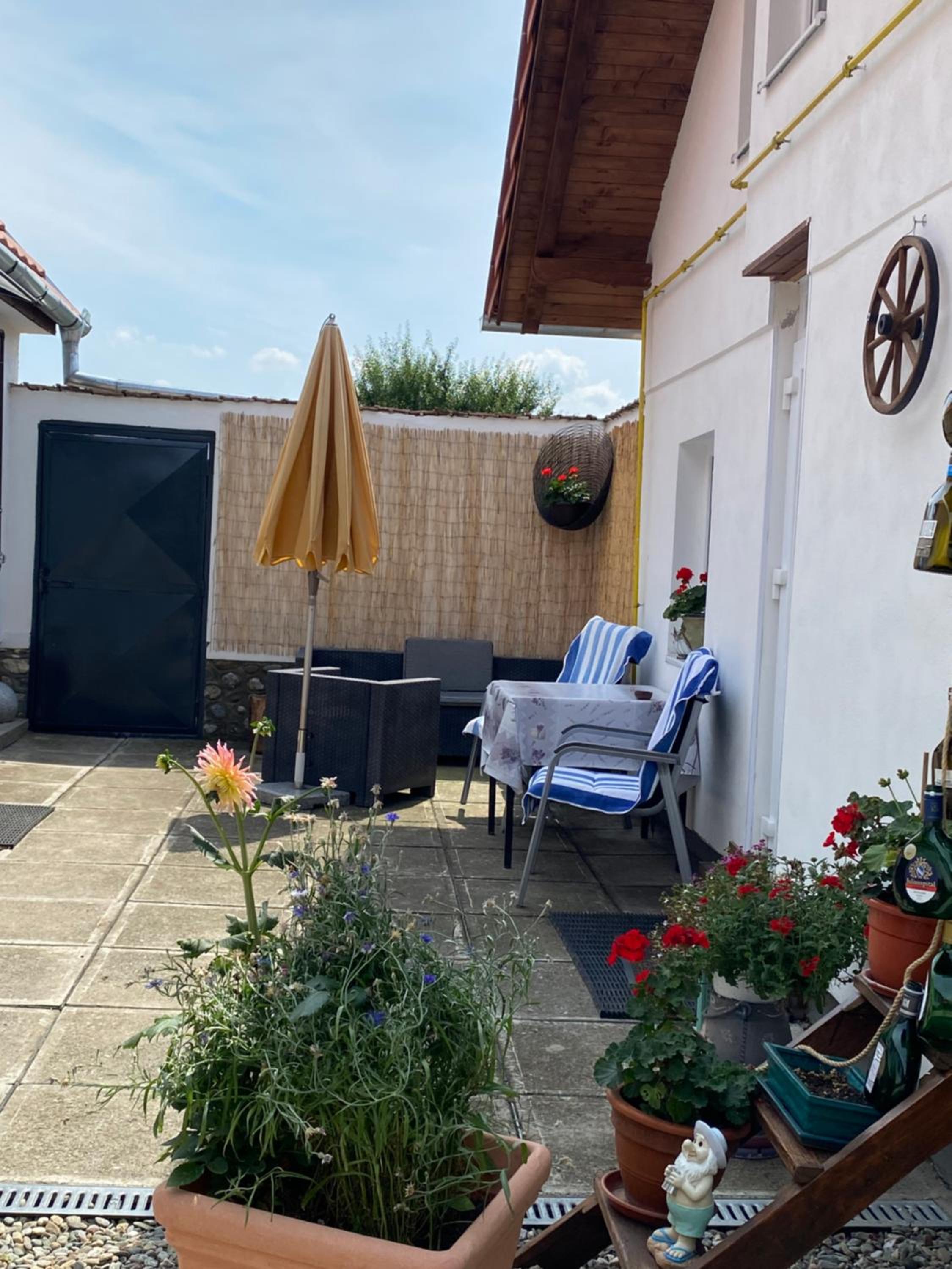 Casa Tei view 5
