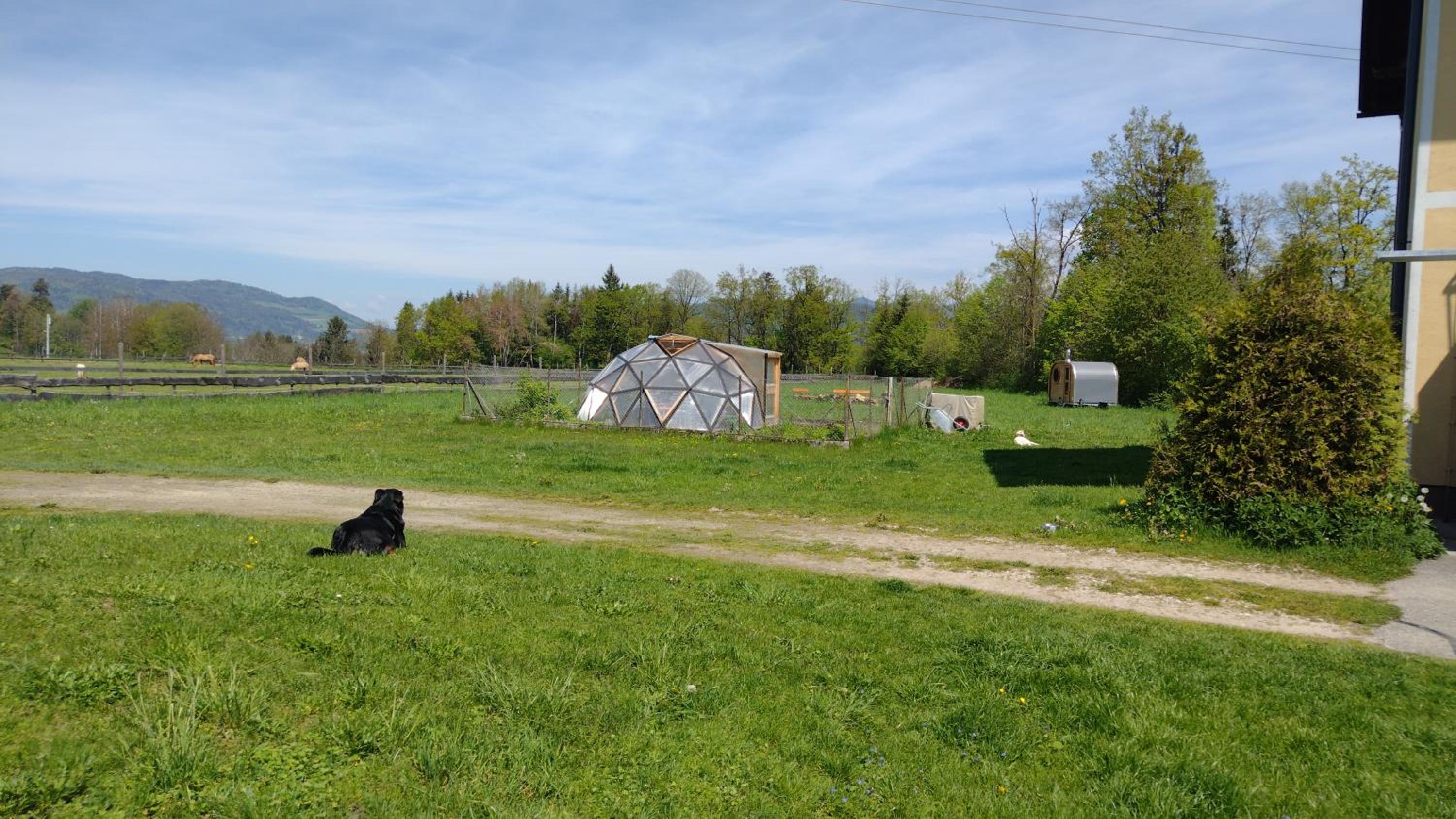 Landhaus Nepo - Natur pur