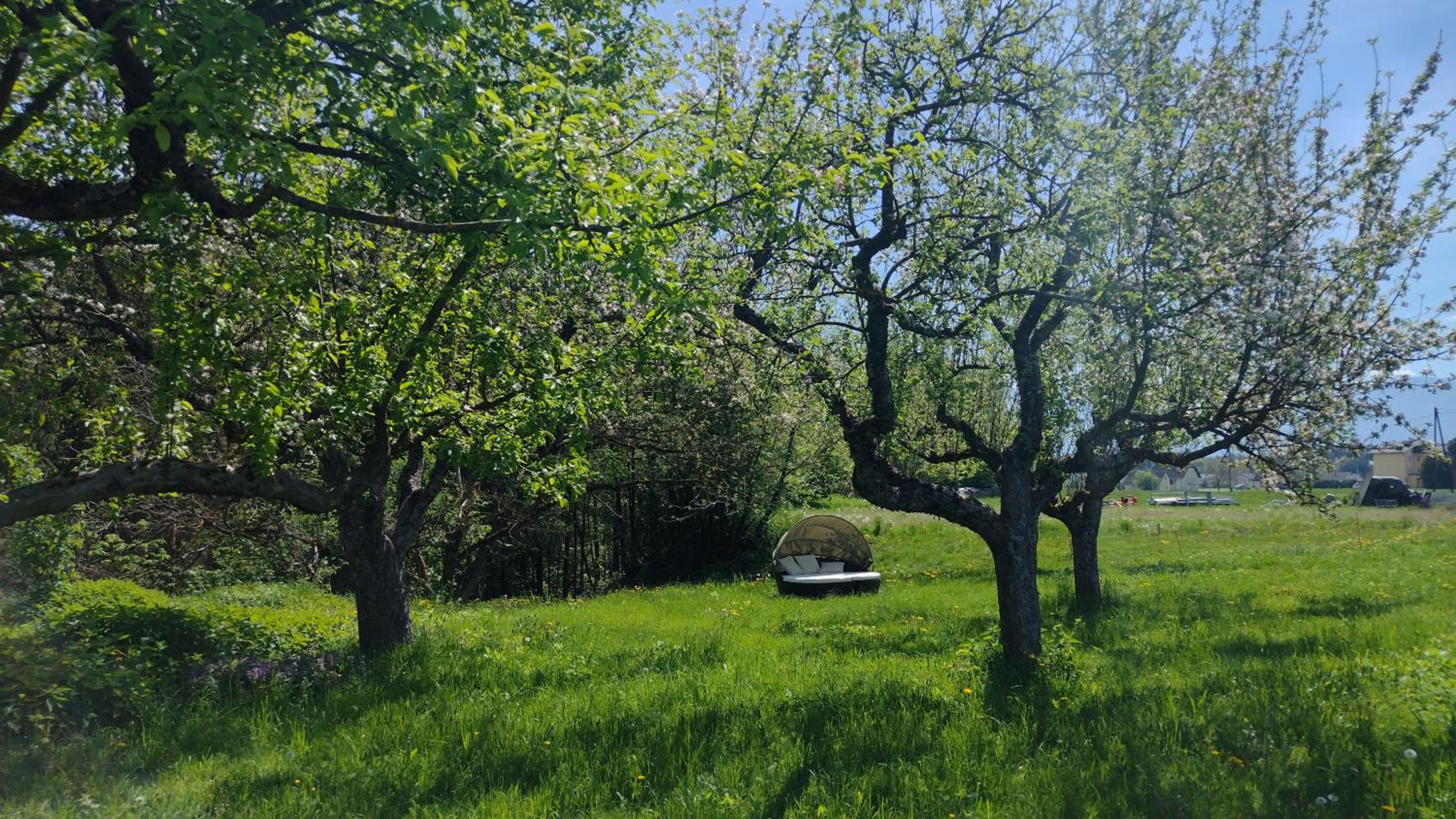 Landhaus Nepo - Natur pur