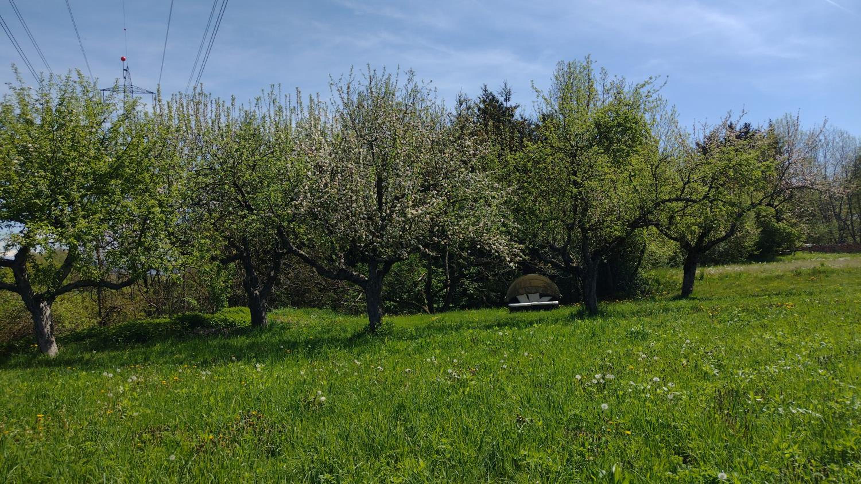 Landhaus Nepo - Natur pur