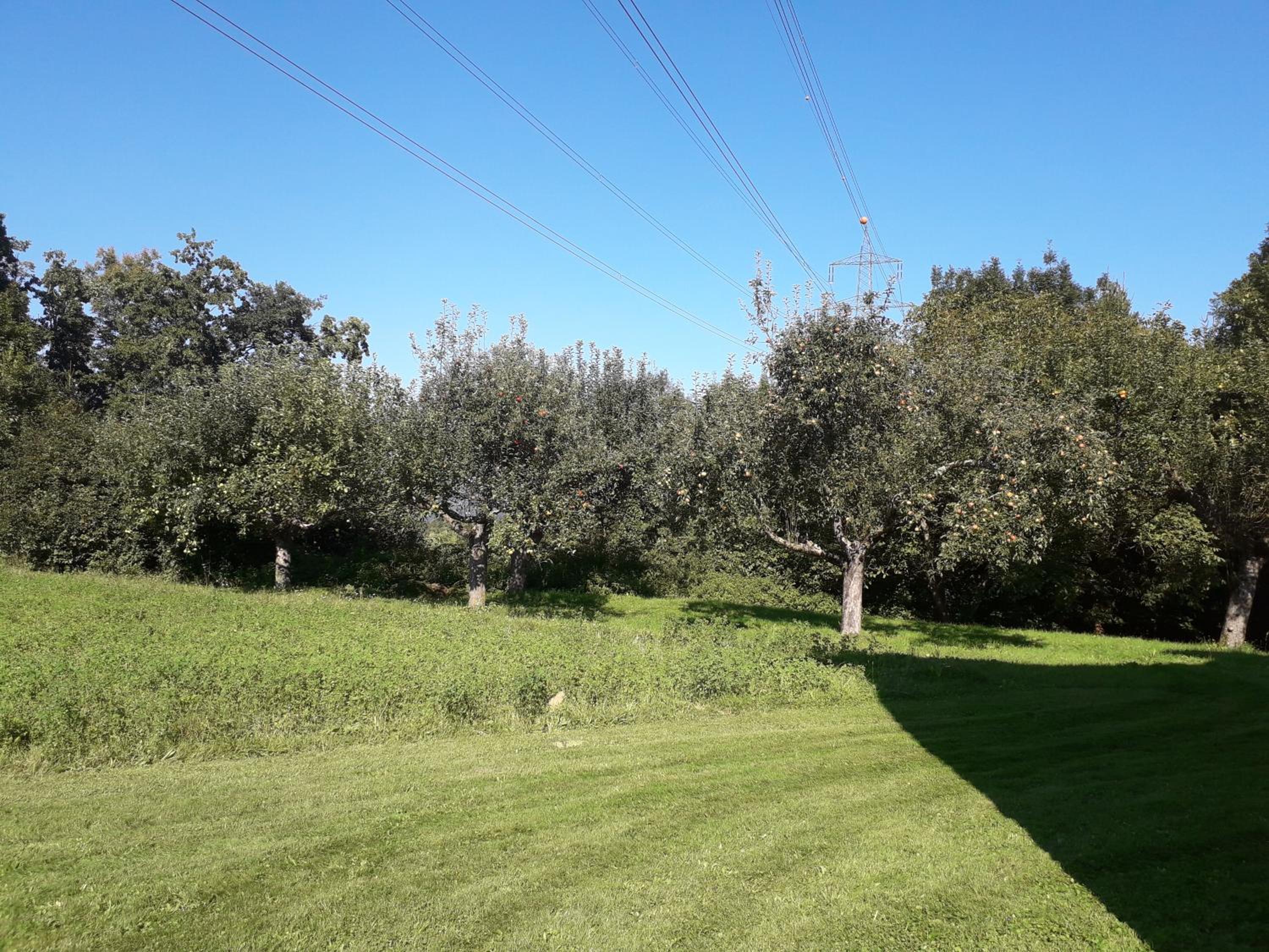 Landhaus Nepo - Natur pur
