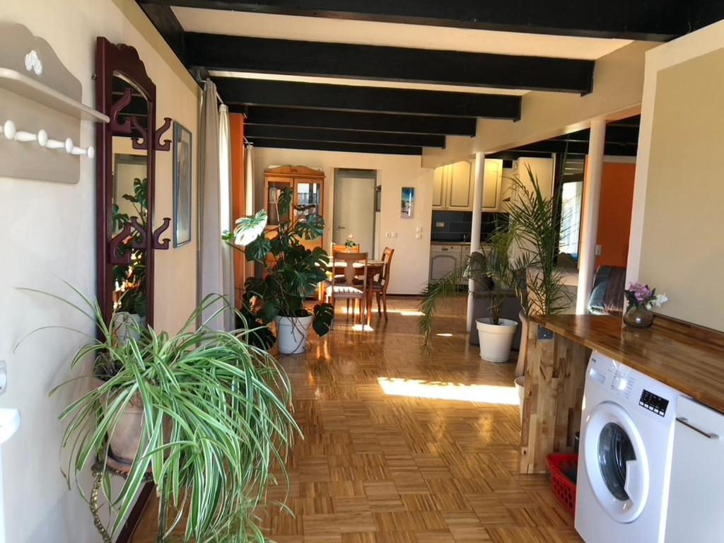 Heikendorf Große Ferienwohnung mit Terrasse