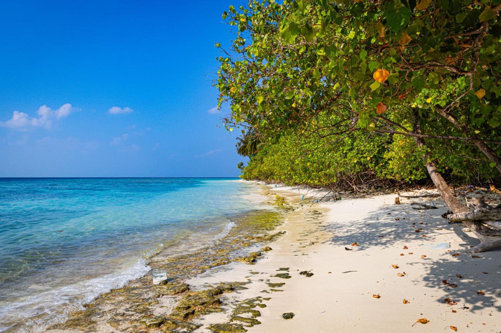 Feridhoo Beach Villa