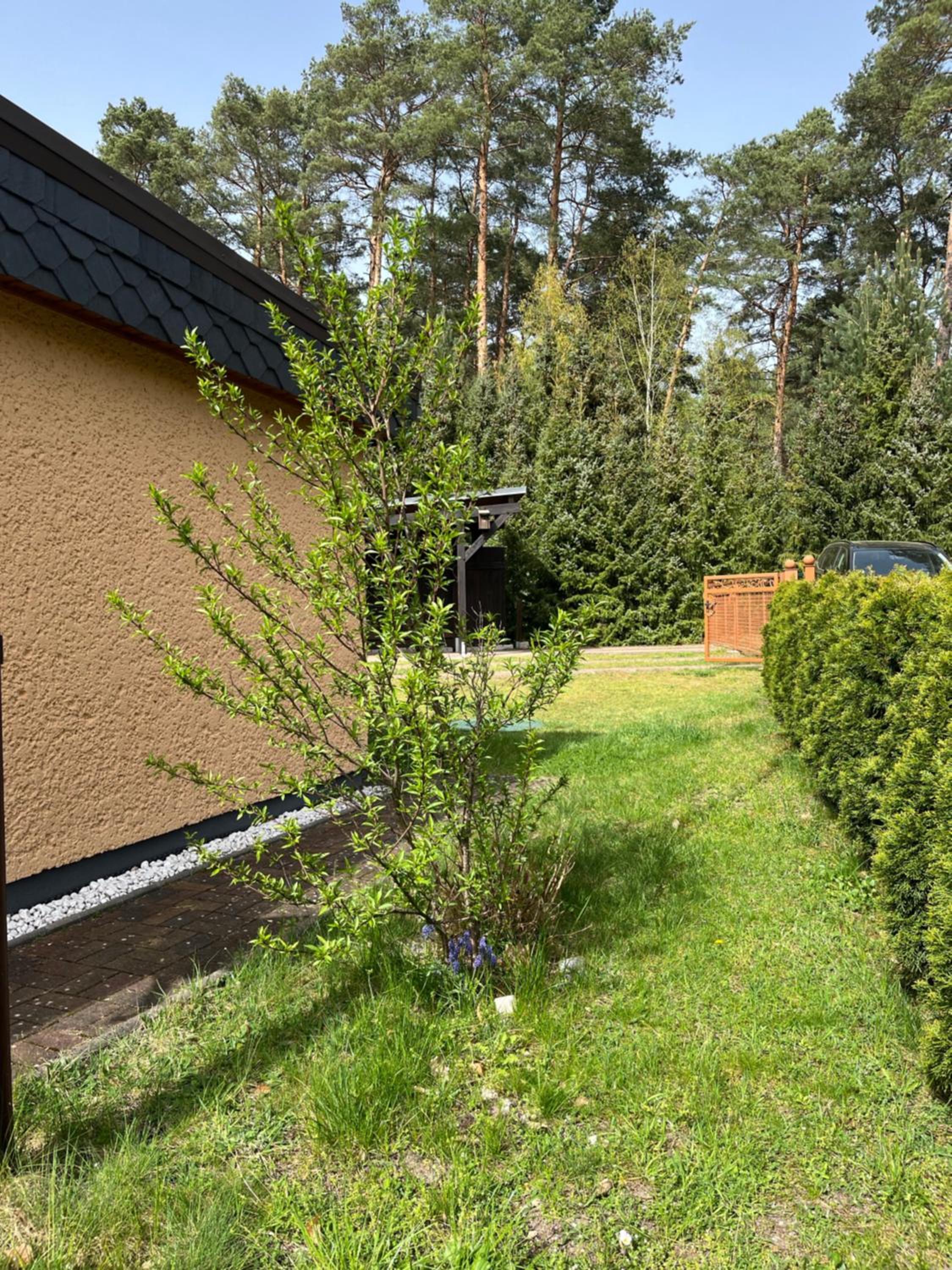 Ferienhaus Fjola