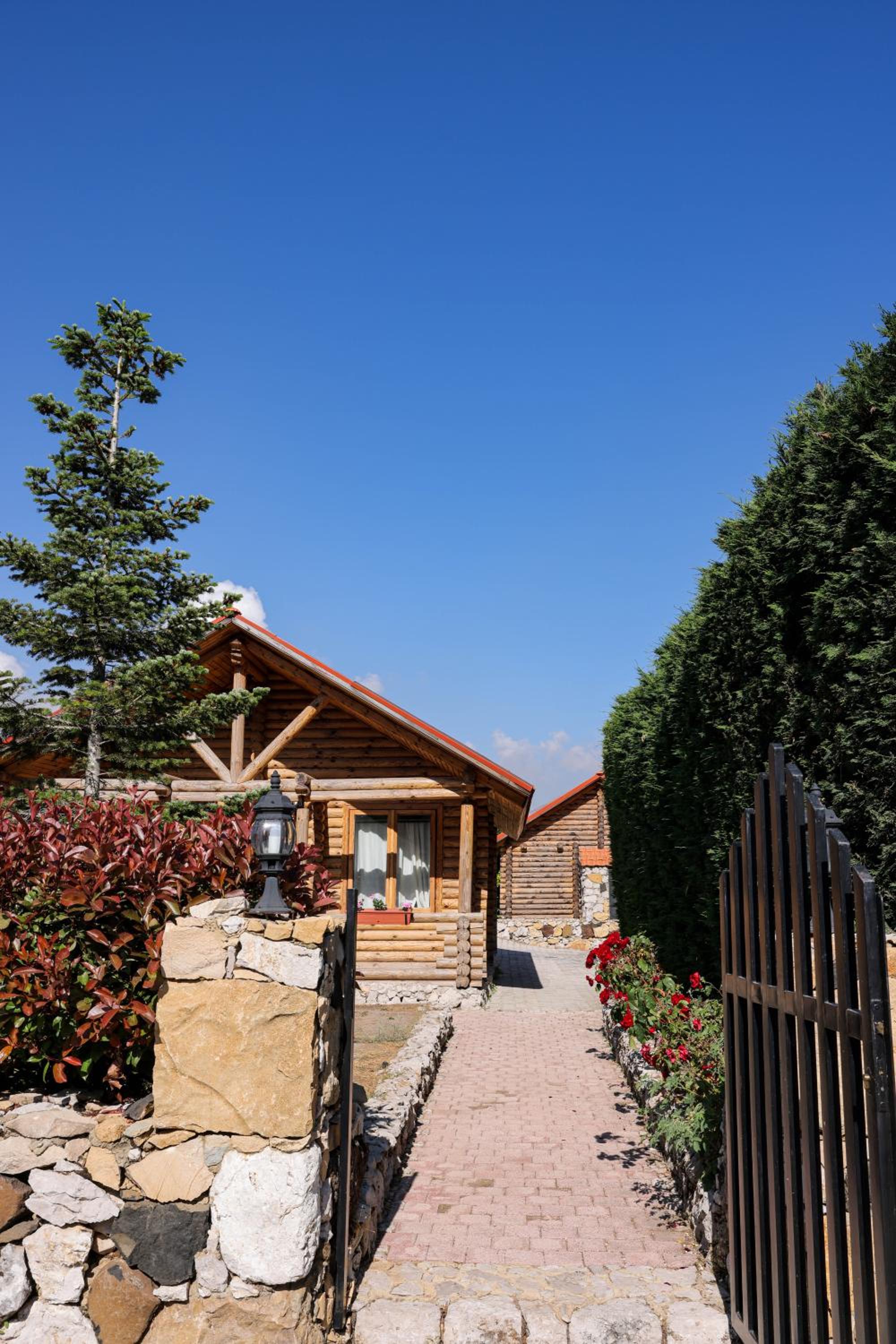 Photo 13