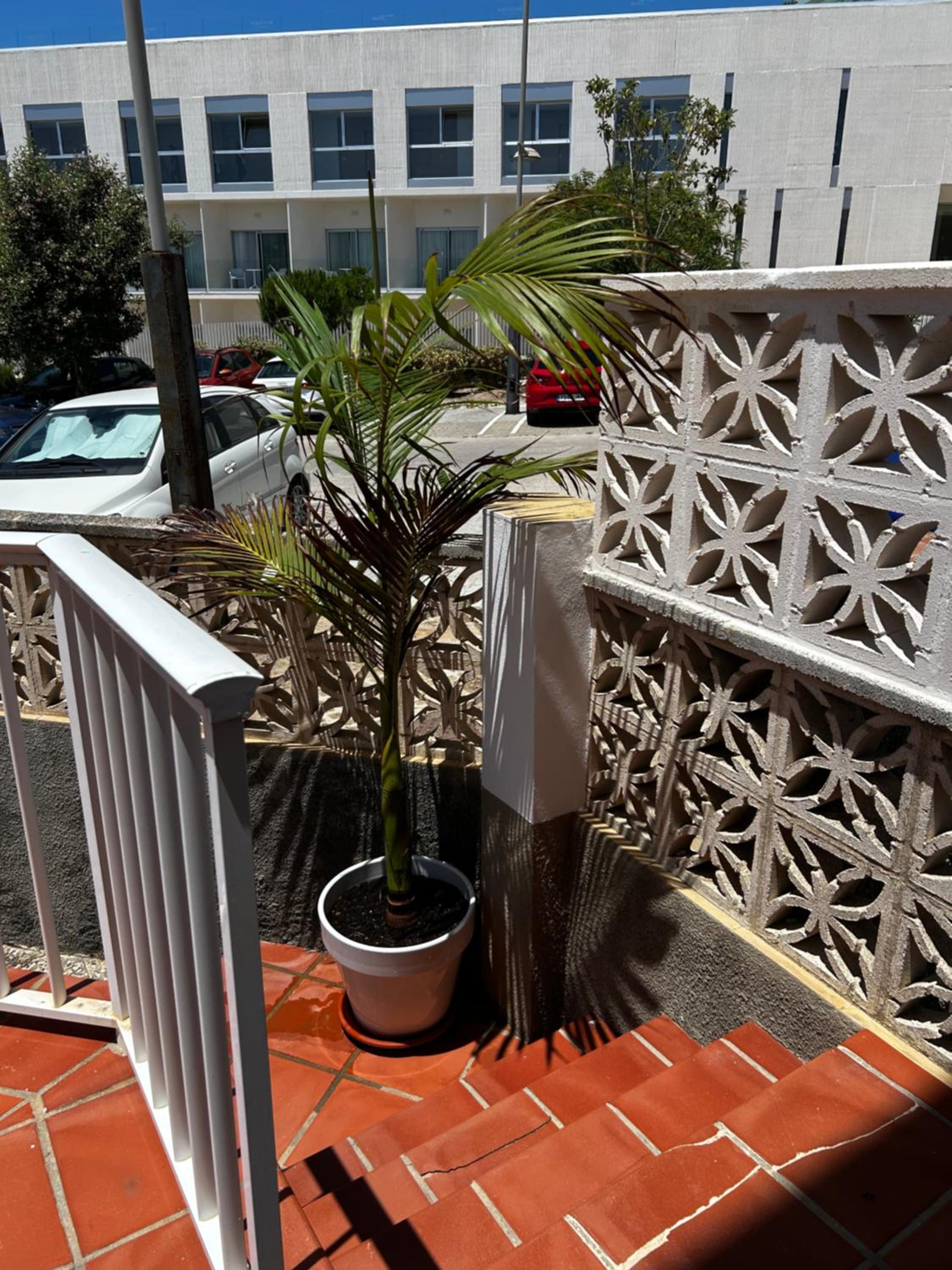 Apartamento junto al mar ROQUEO NICOLAS