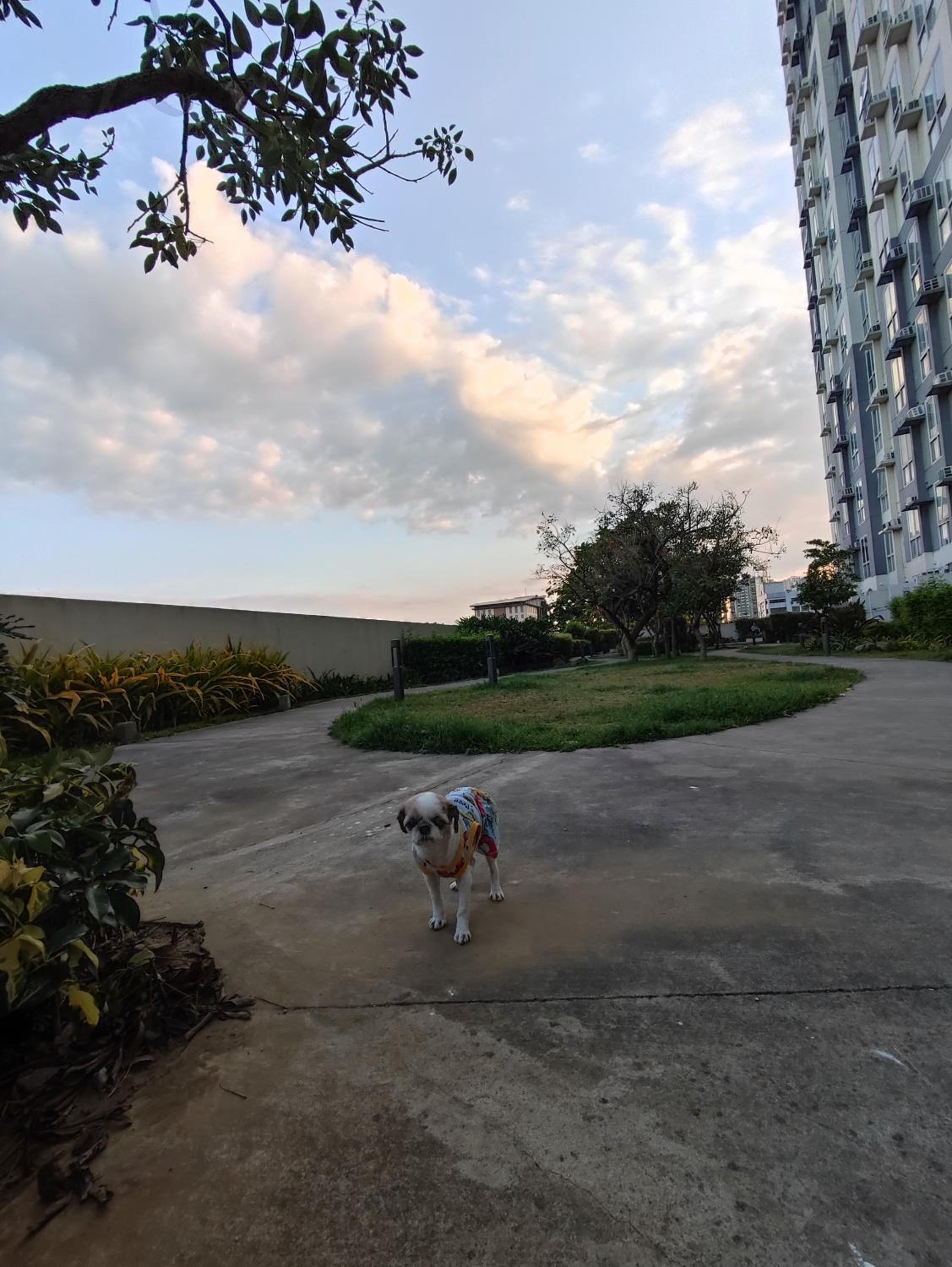 Pasig