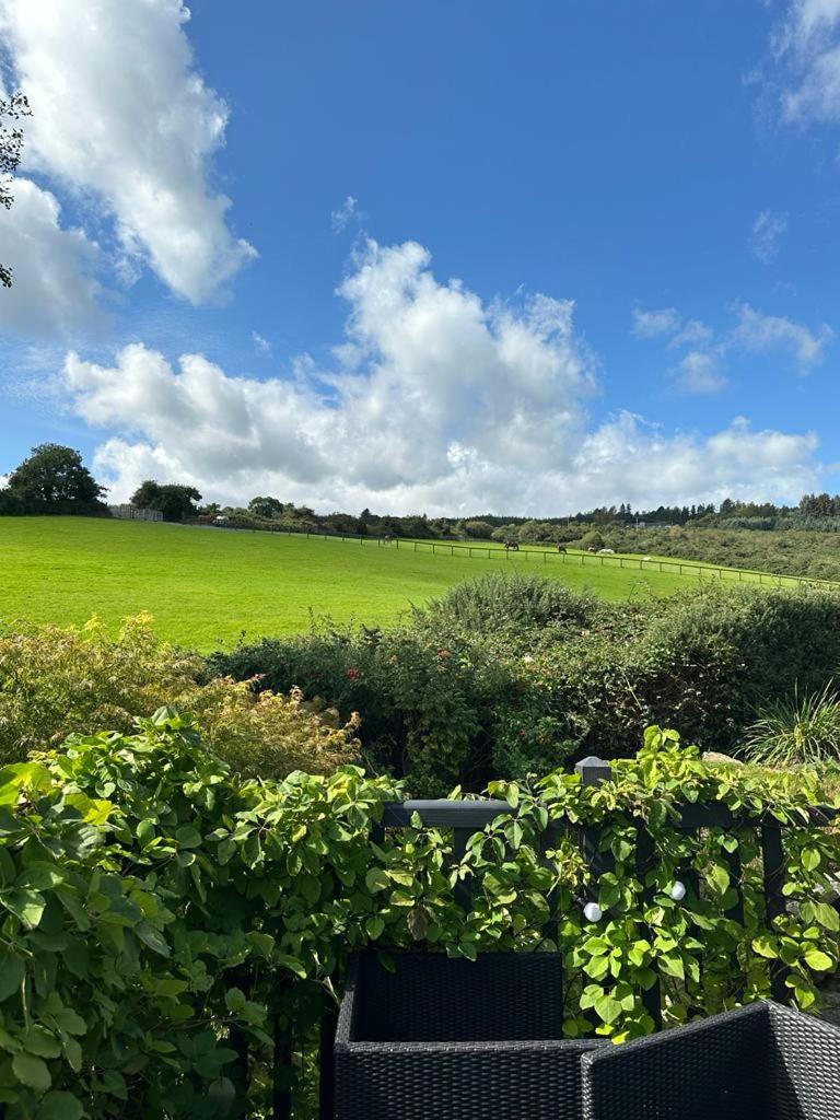 Luxurious villa south Dublin