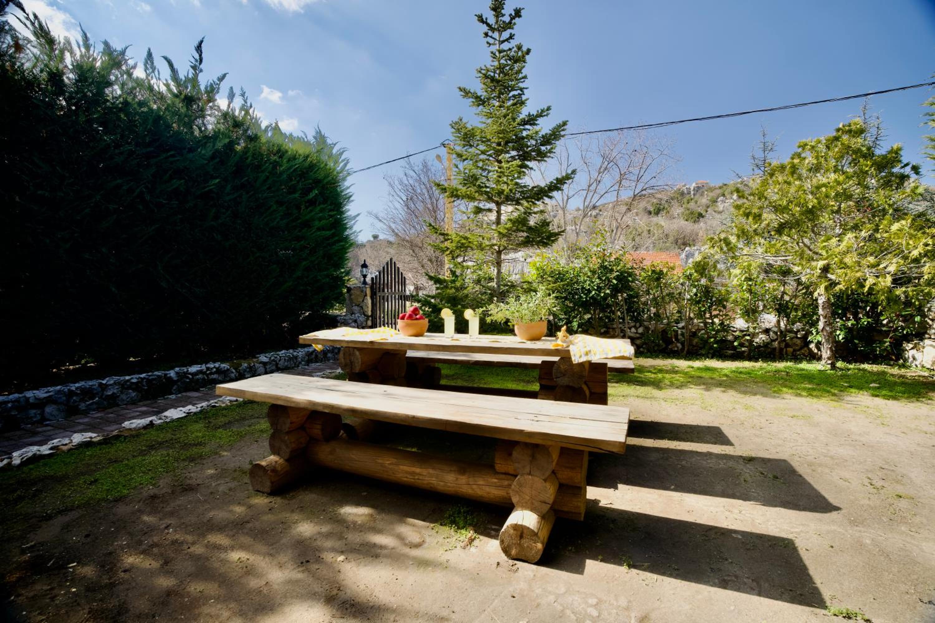 Photo 17