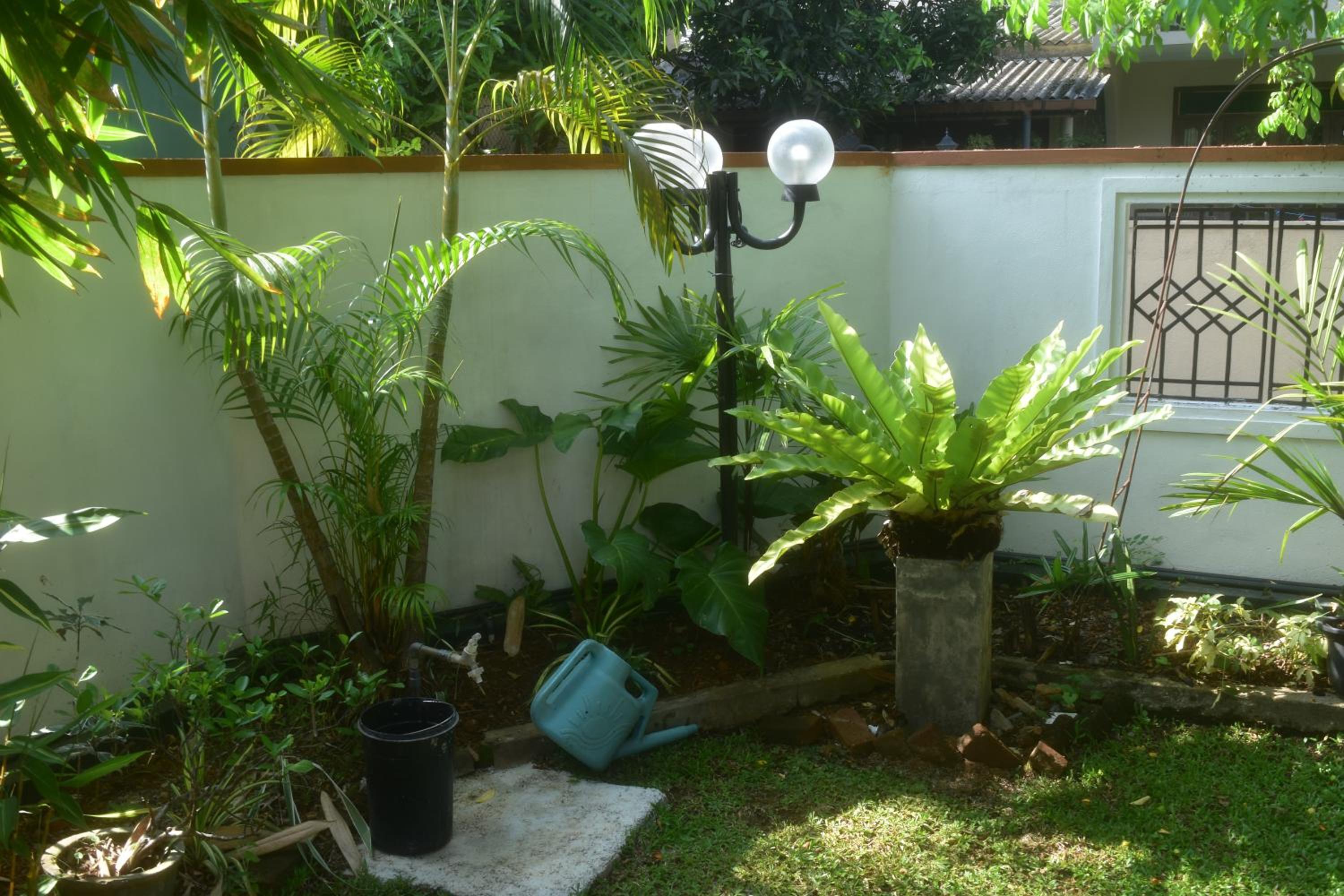 Photo 44