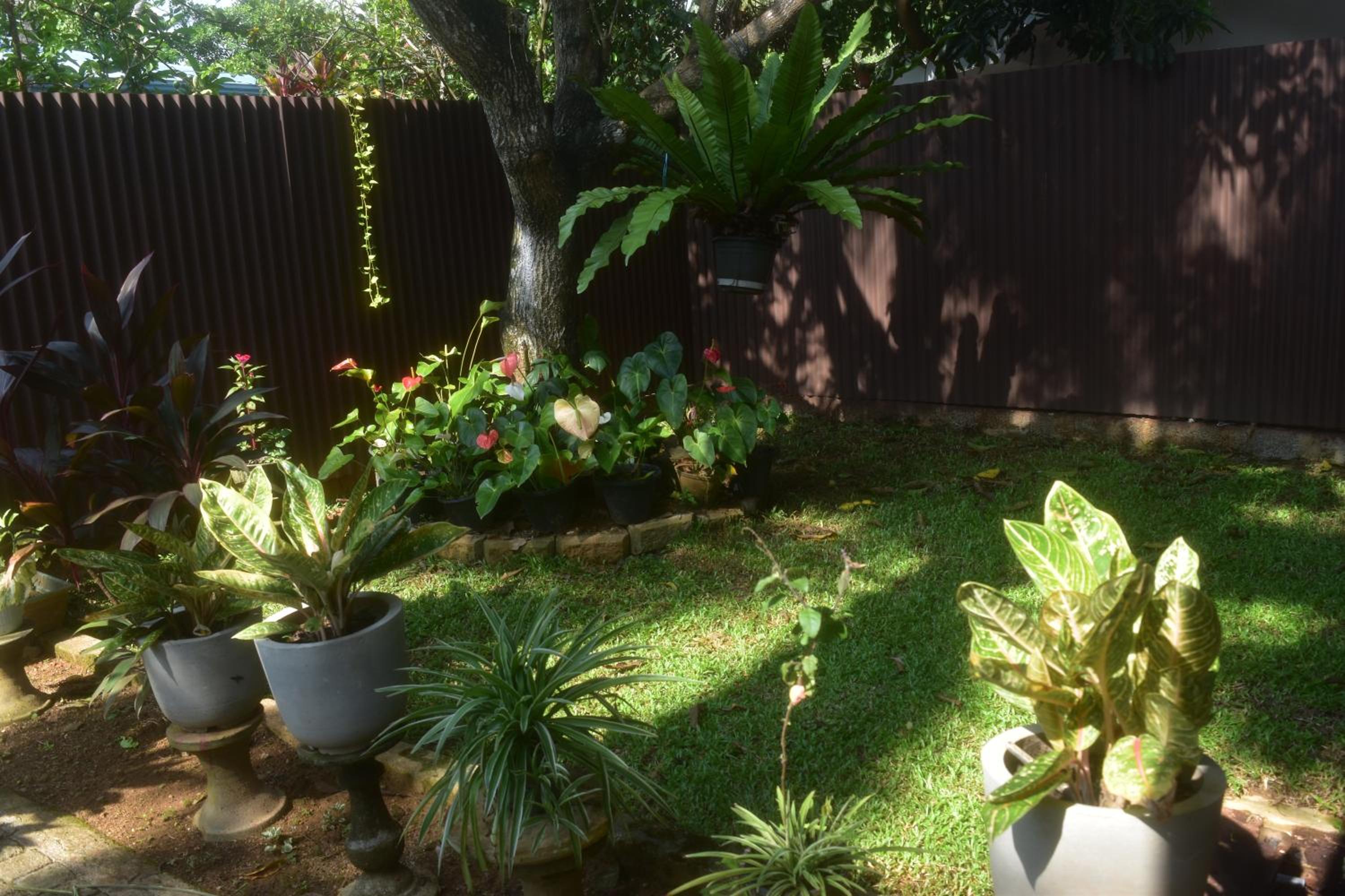 Photo 42