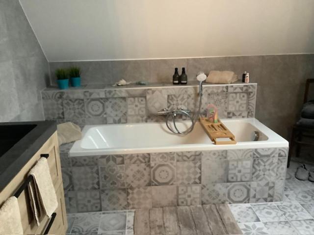 B&B Schaliëndak