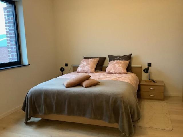 B&B Schaliëndak