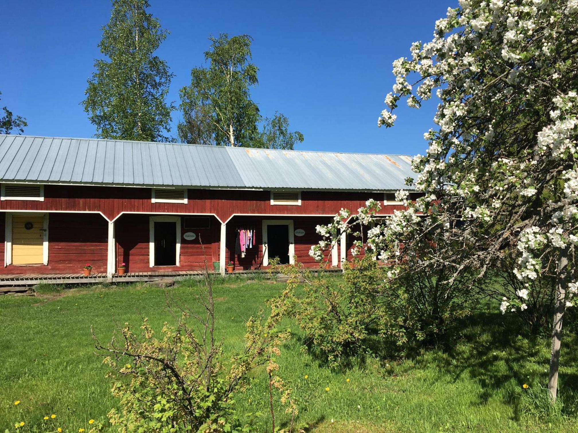 Ollilan tupa Joensuun lähellä