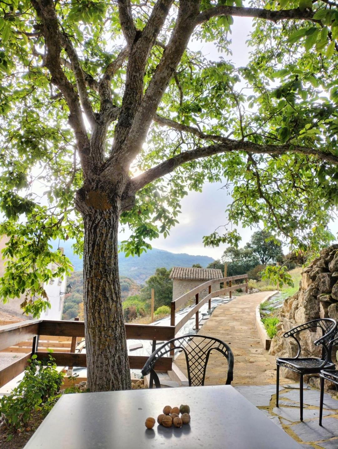 Casa Rural Artaza