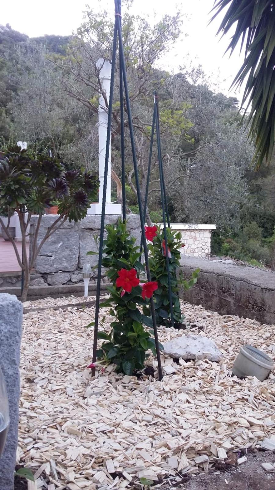 Photo 39