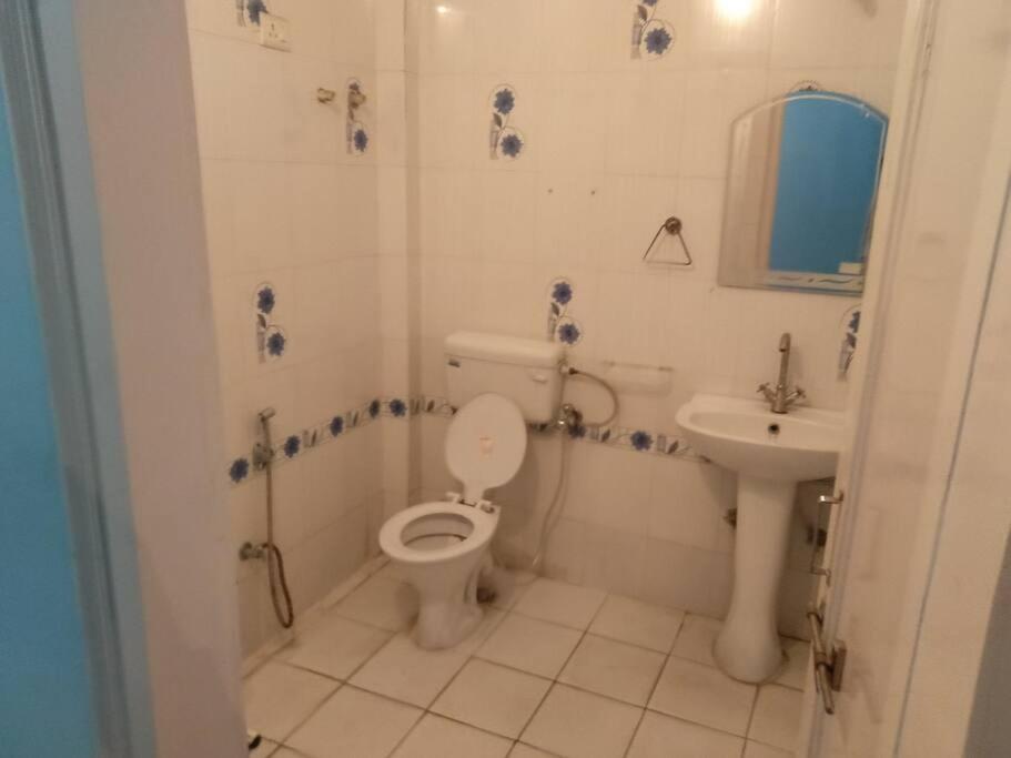 Photo 50