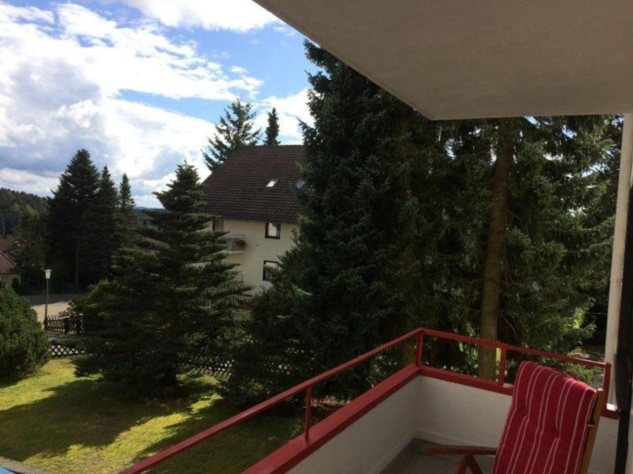 Gemütliche 4 Sterne Wohnung In Braunlage
