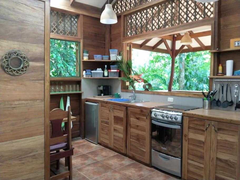 Casa Mona, Jungle vibes adults only