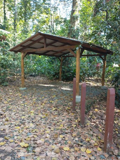 Casa Mona, Jungle vibes adults only
