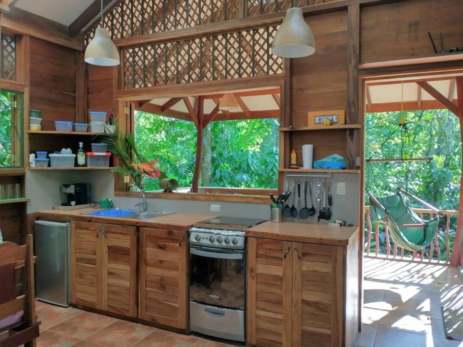 Casa Mona, Jungle vibes adults only