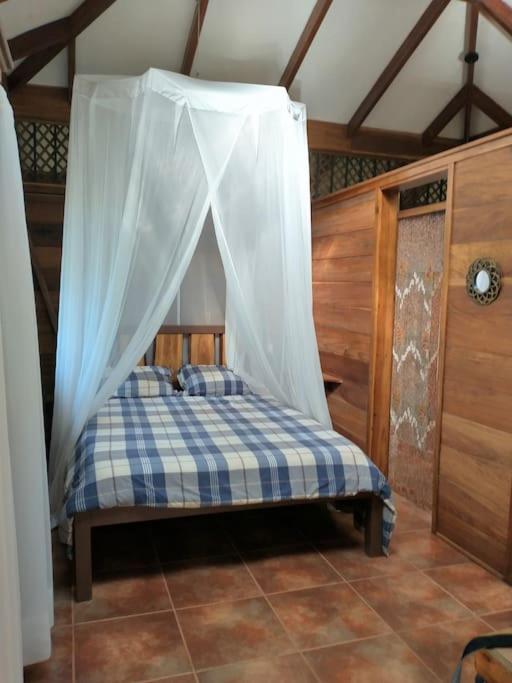 Casa Mona, Jungle vibes adults only