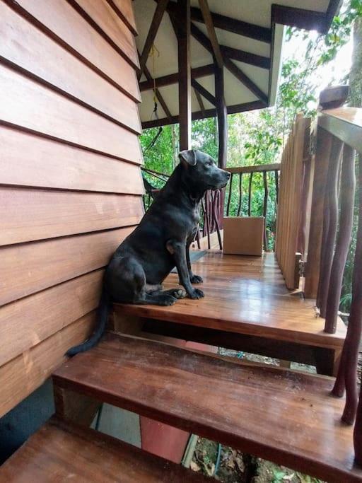 Casa Mona, Jungle vibes adults only